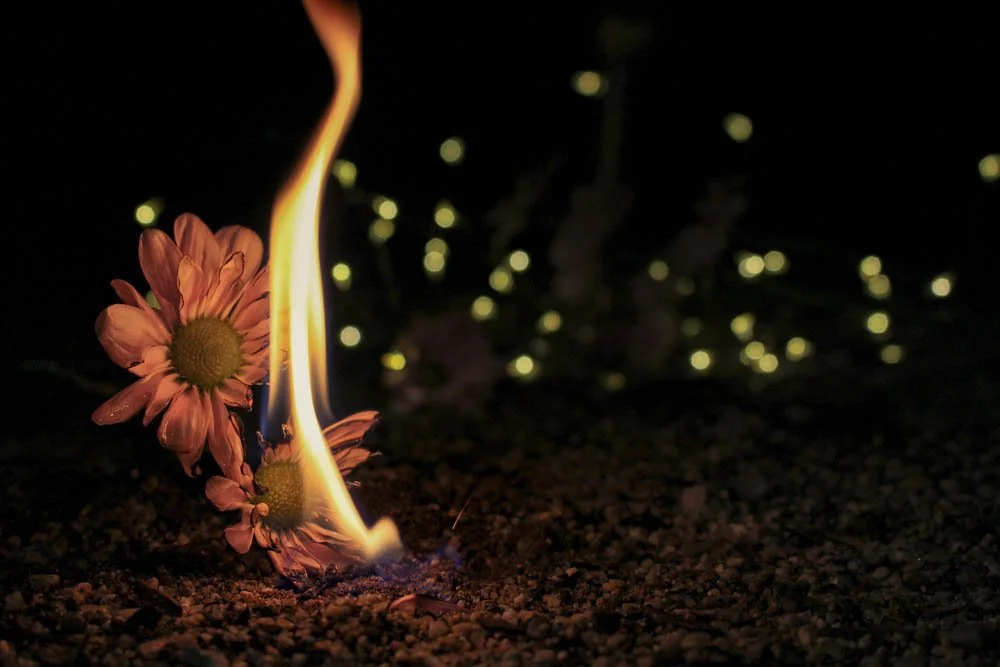 Sex on Fire - Lindsey Potter.jpg