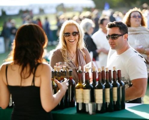 Leelanau-Wine-on-the-Water-Festival-495x400.jpg