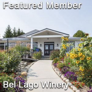 featured-bel-lago-winery.jpg