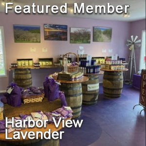featured-harbor-view-lavender.jpg