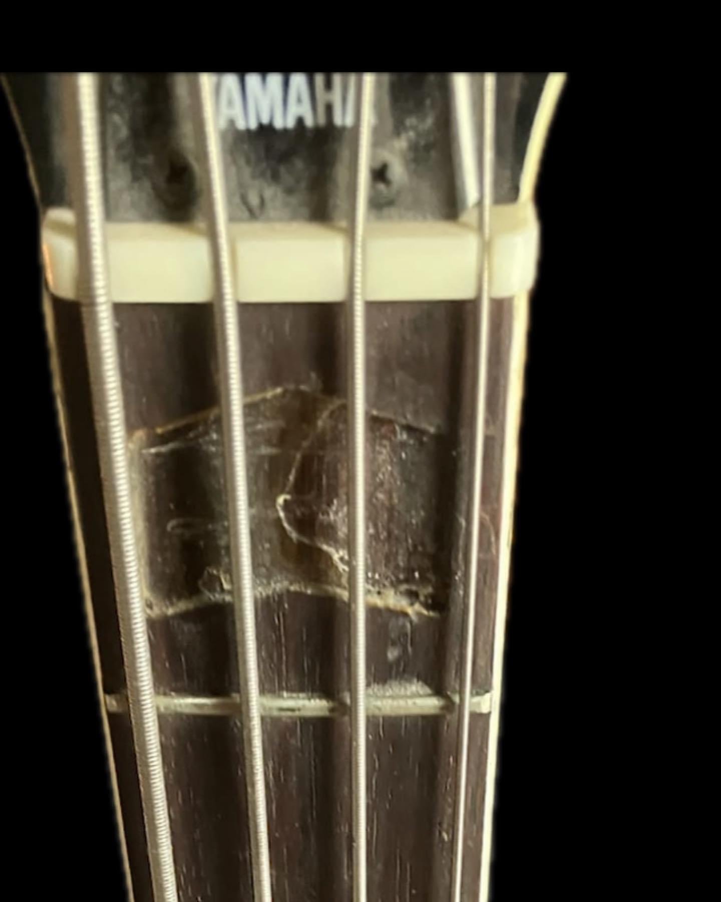 Yamaha Bass missing inlay repair