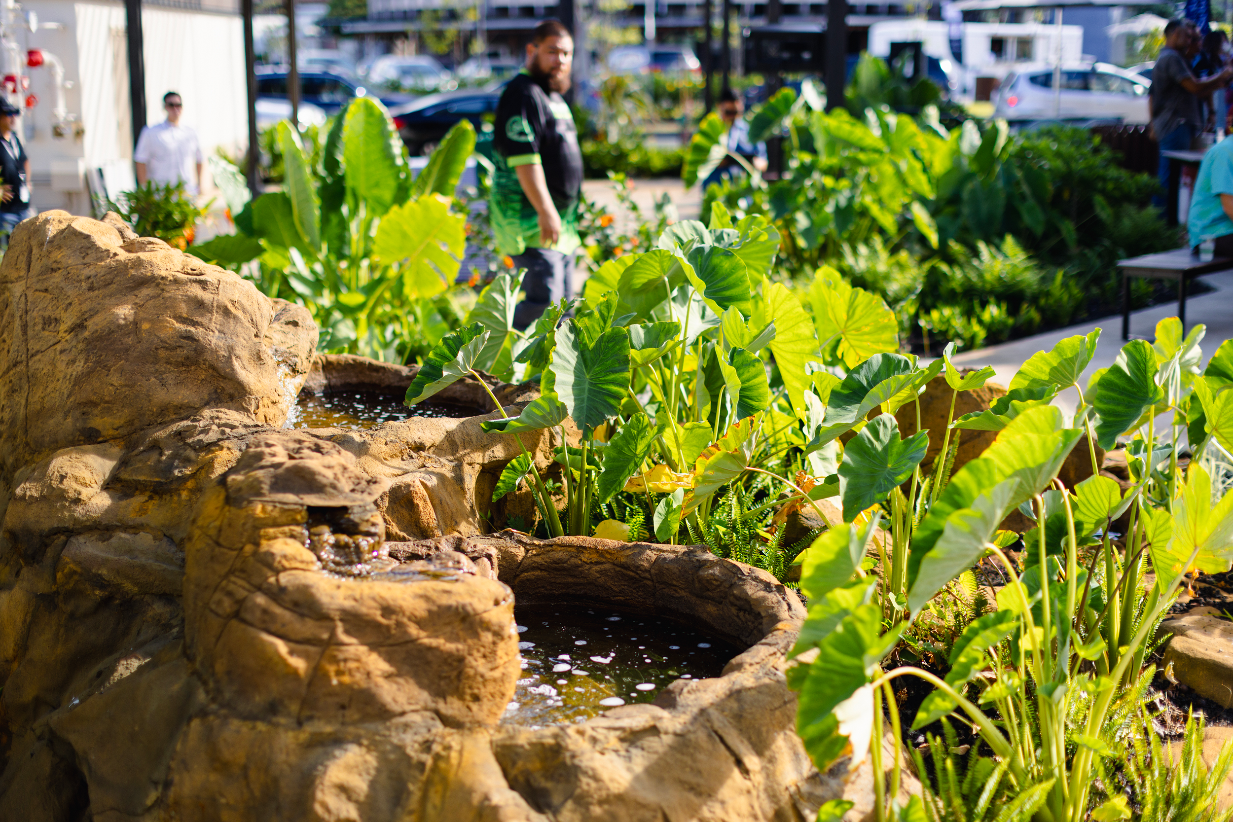 Courtyard of Waiānuenue - Courtesy of Ke Kula ʻo Kamehameha.png
