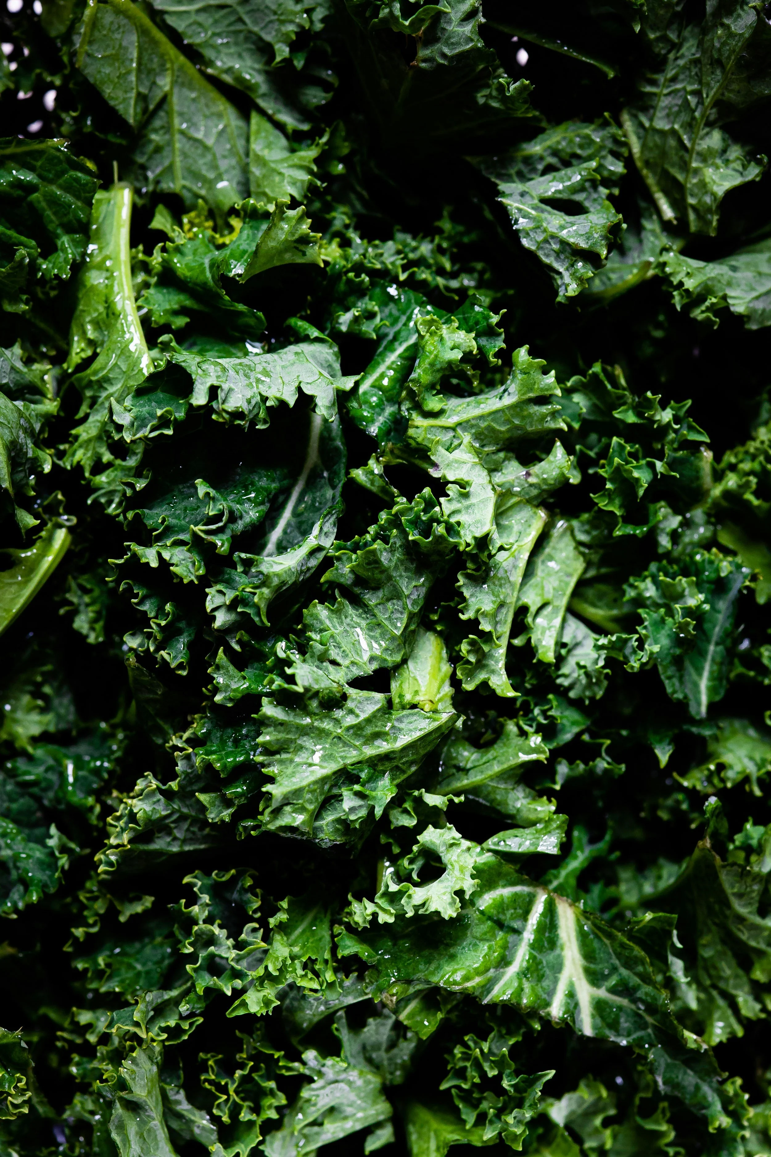 Kale Salad with Roasted Cauliflower and Brussels Sprouts