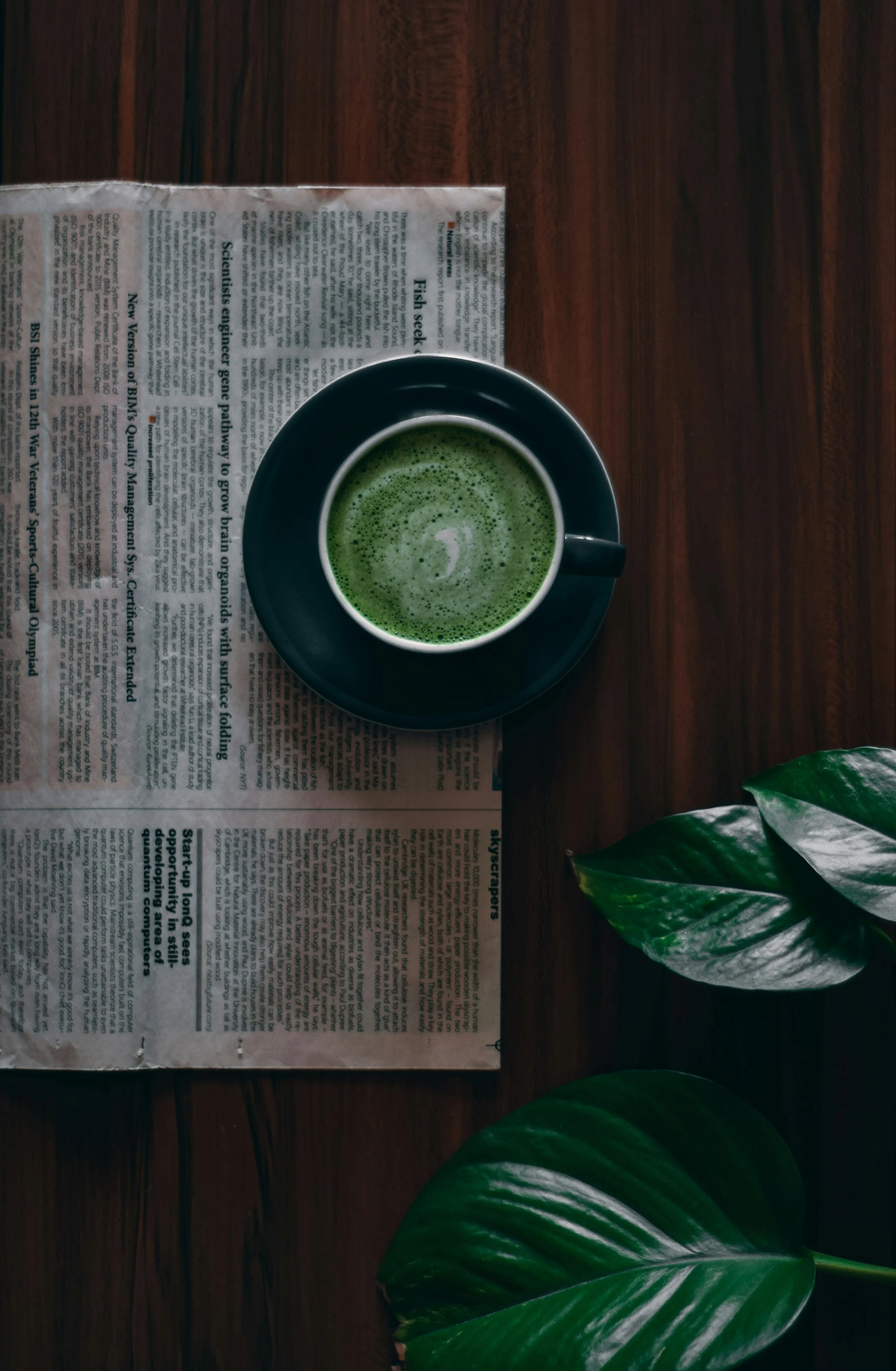 Matcha Latte