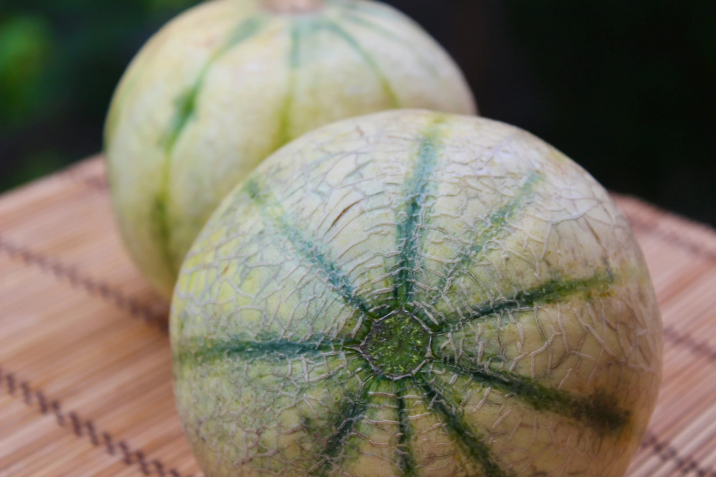 September’s Seasonal Spotlight: Cantaloupe and Honeydew