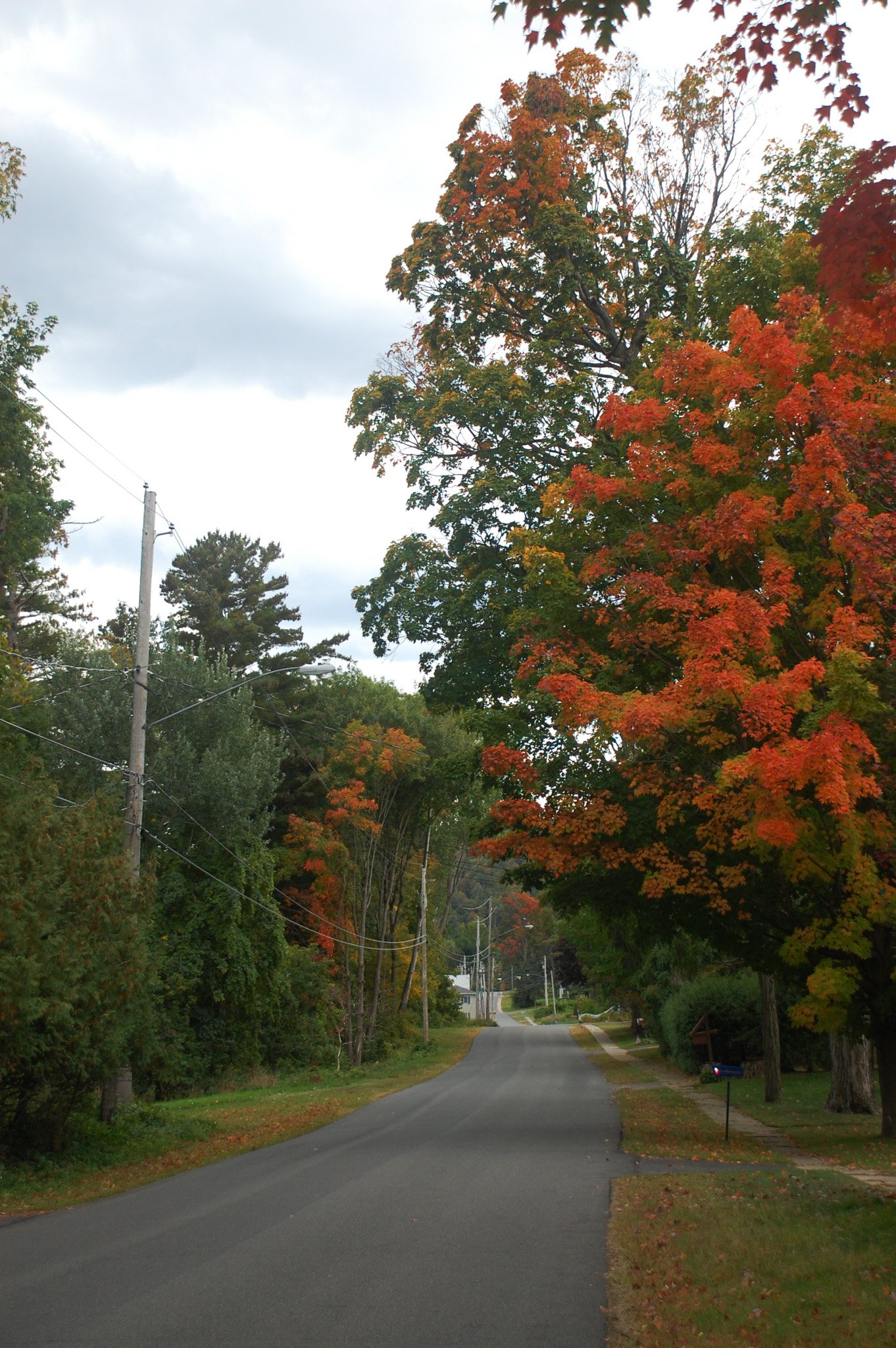 An Autumn Day ( Plattsburgh, NY) 2021