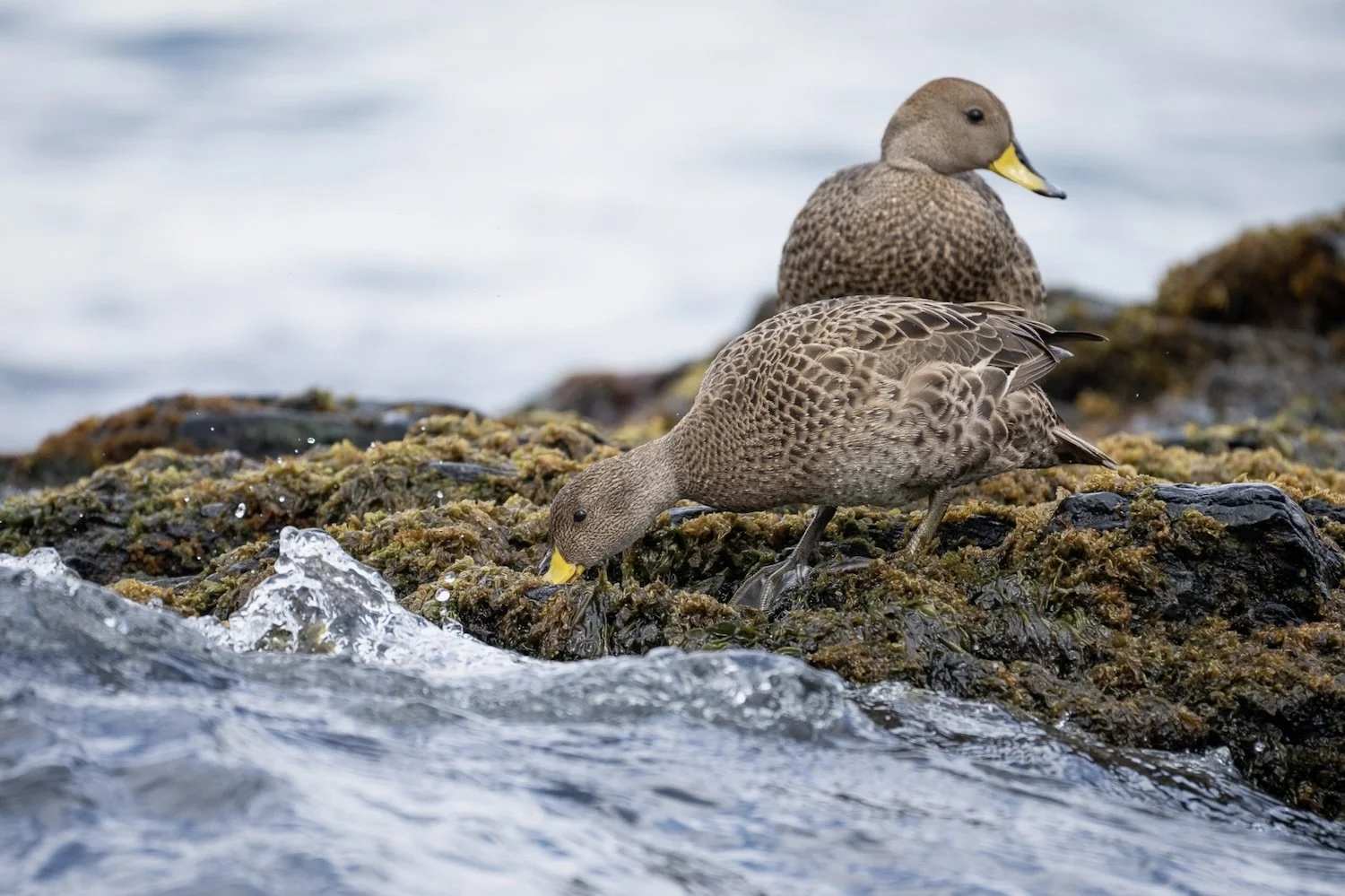 Day 9_B15AB_LisaLaPointe-8-9.jpg