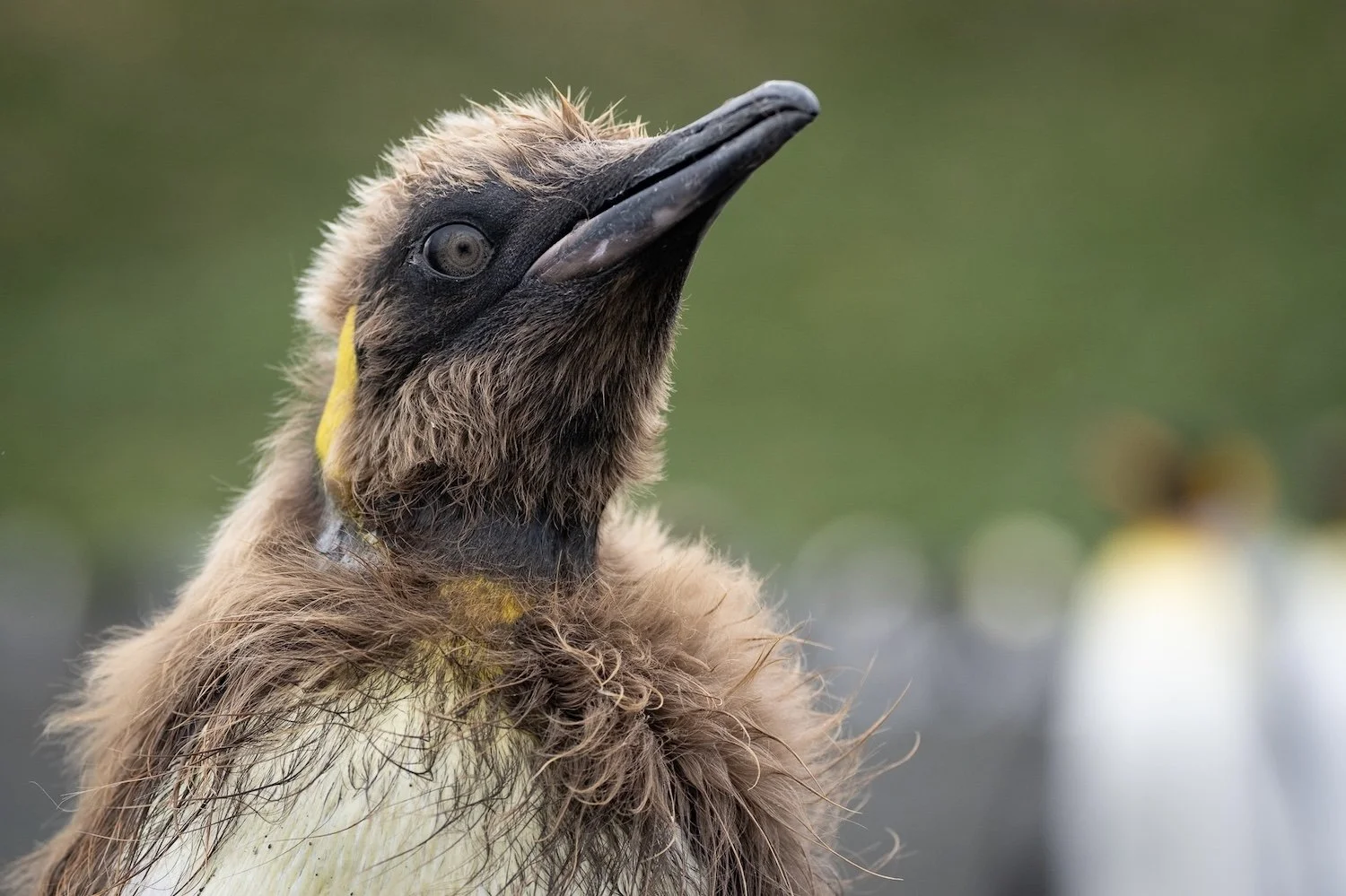 Day 9_B15AB_LisaLaPointe-8-5.jpg