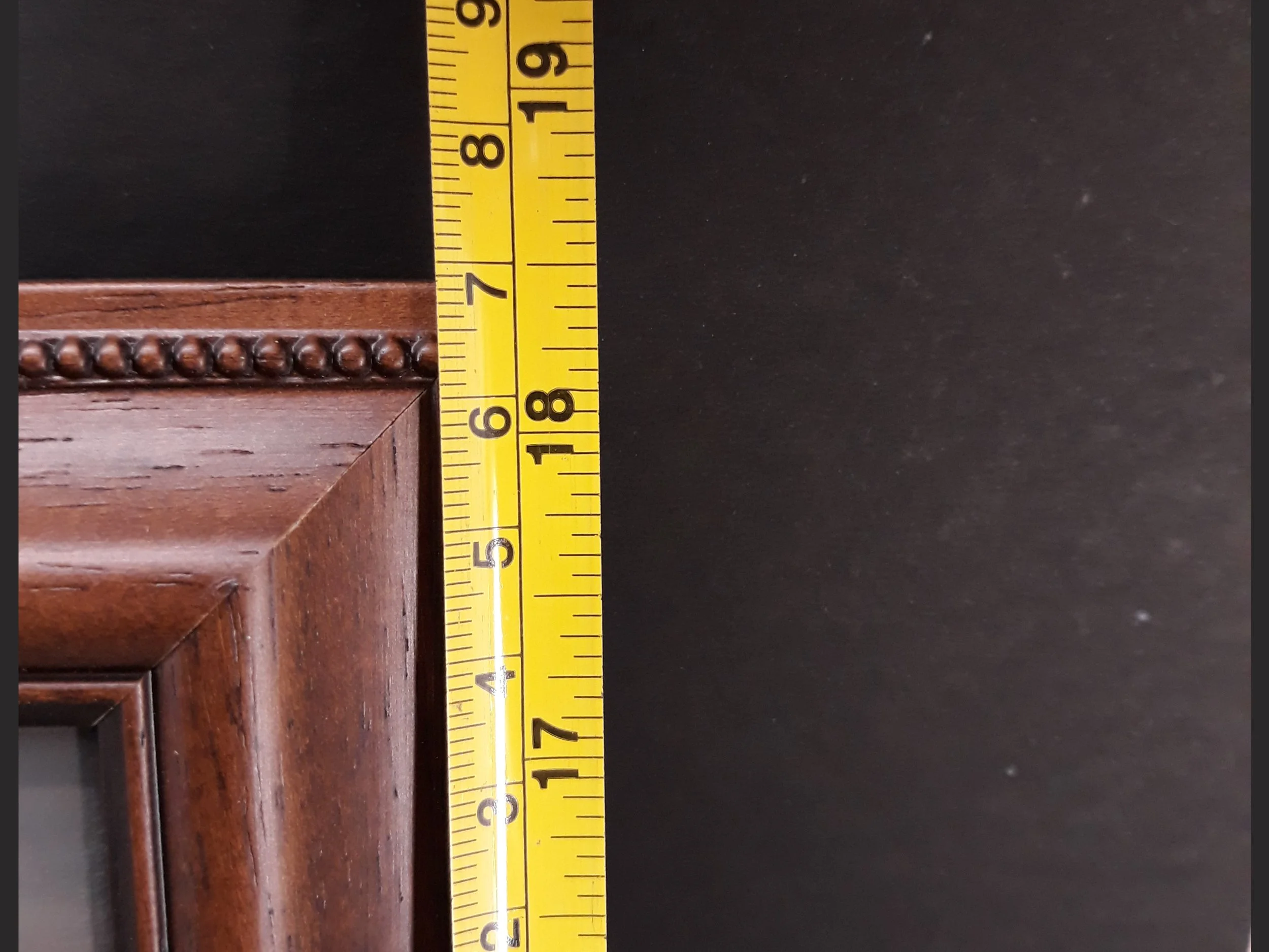 4.3 Endangered Tiger painting framed front measurement Copyright Image.jpg