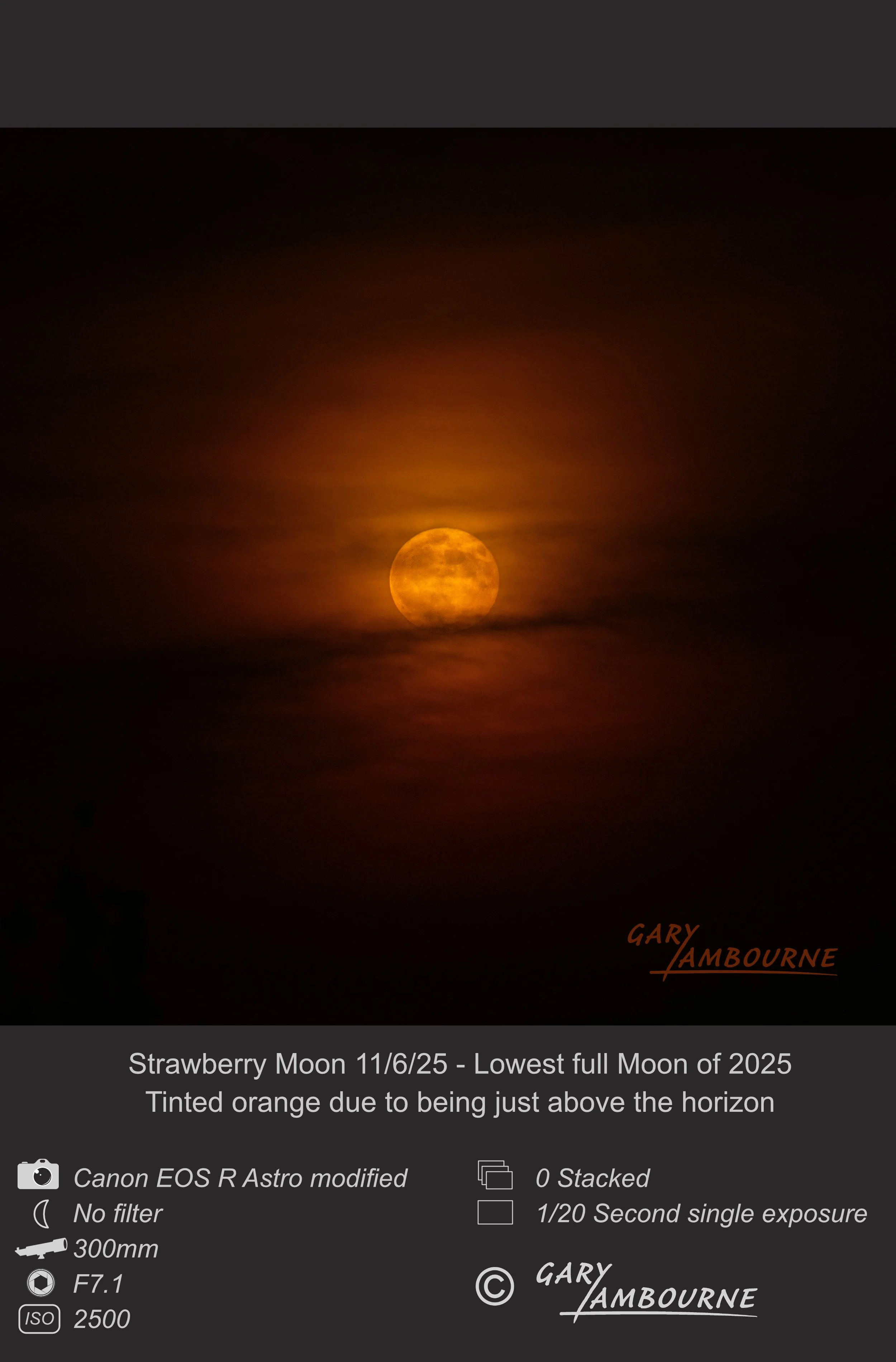 Website tile Strawberry Moon Copyright Image.jpg