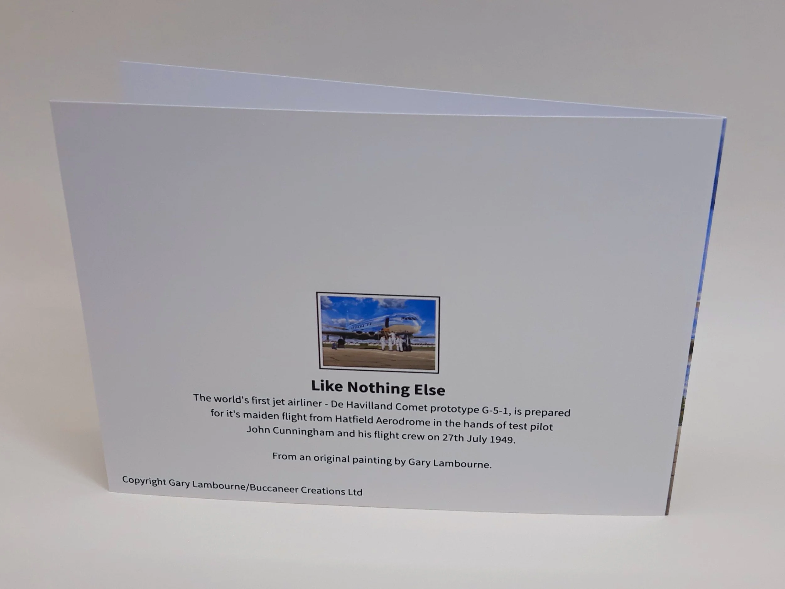 4.3 Like Nothing Else card back Copyright Image.jpg