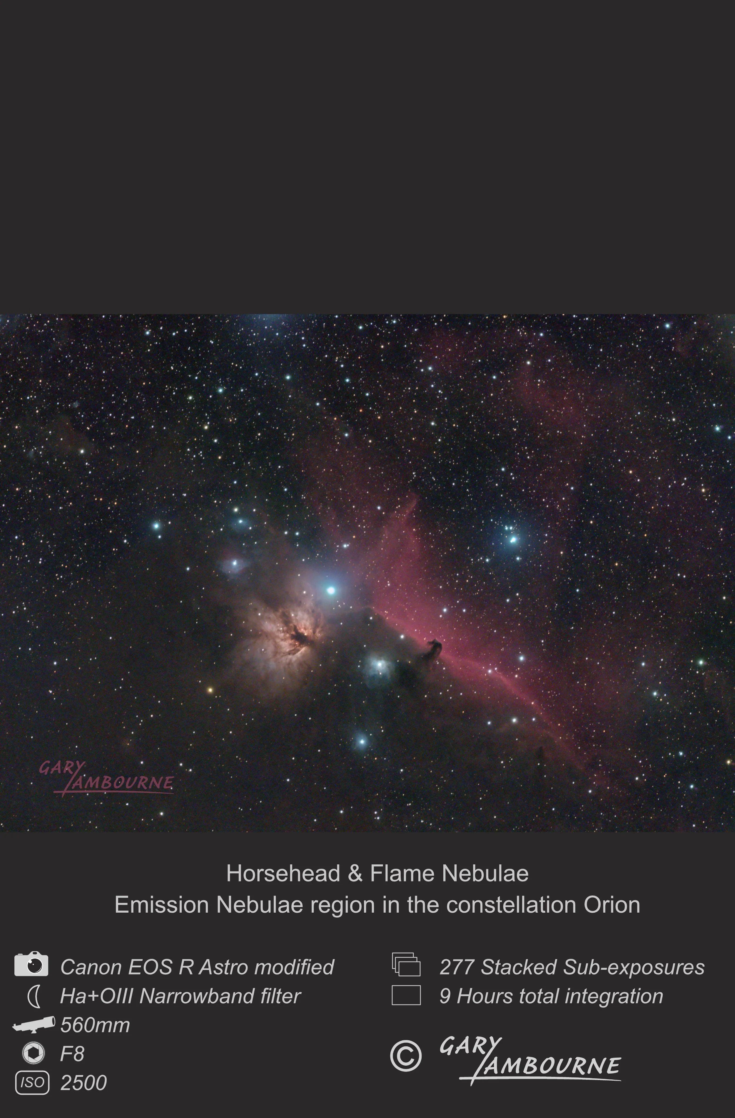 Website tile Horsehead Nebula Copyright Image.jpg