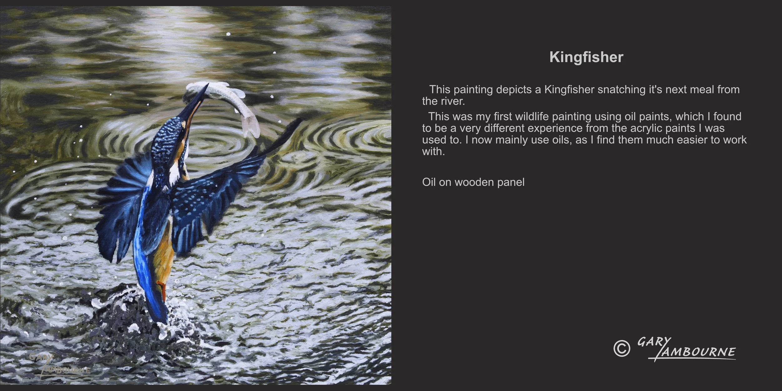Kingfisher Oil painting by Gary Lambourne