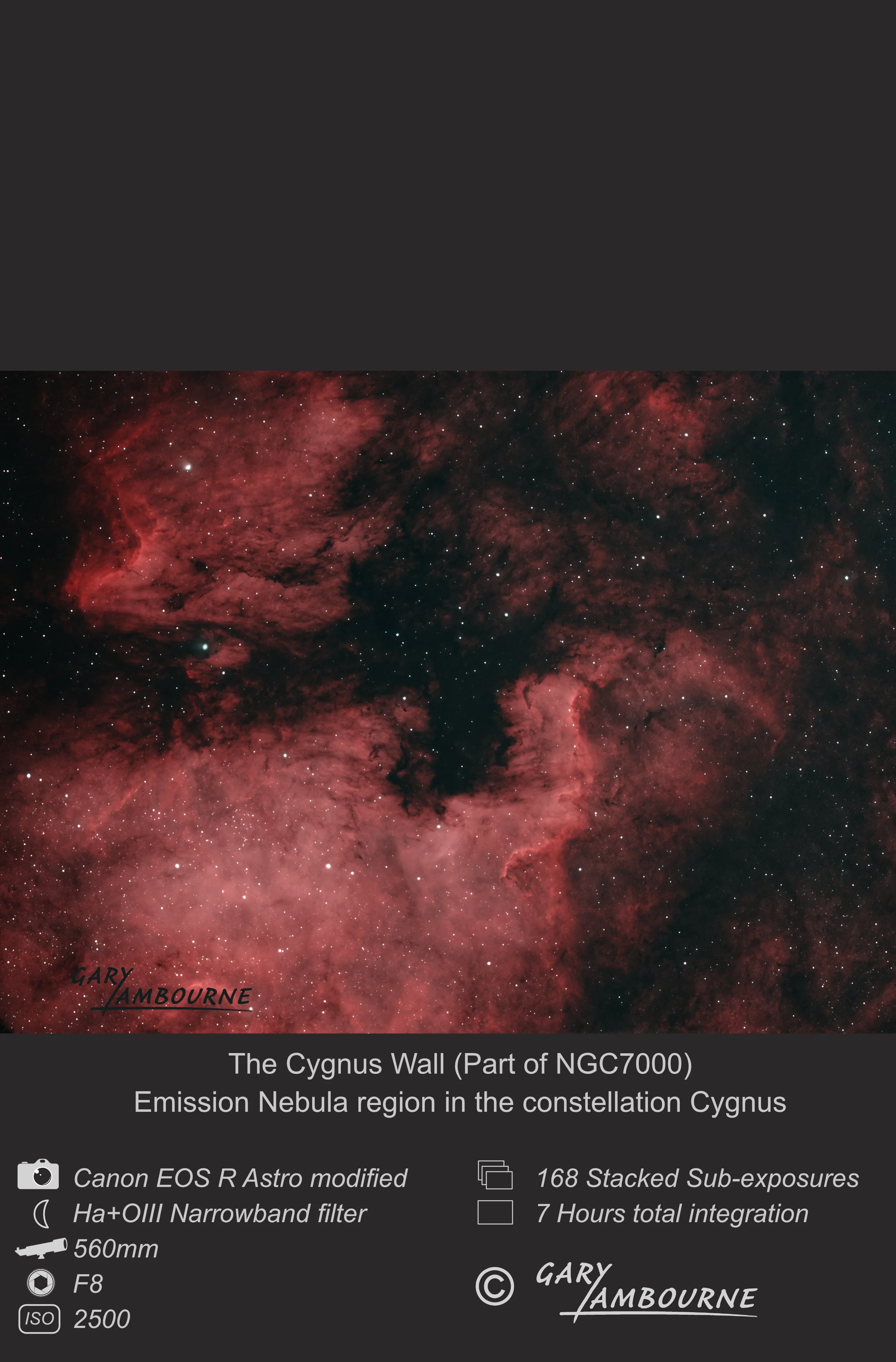 Website tile Cygnus Wall Copyright Image.jpg