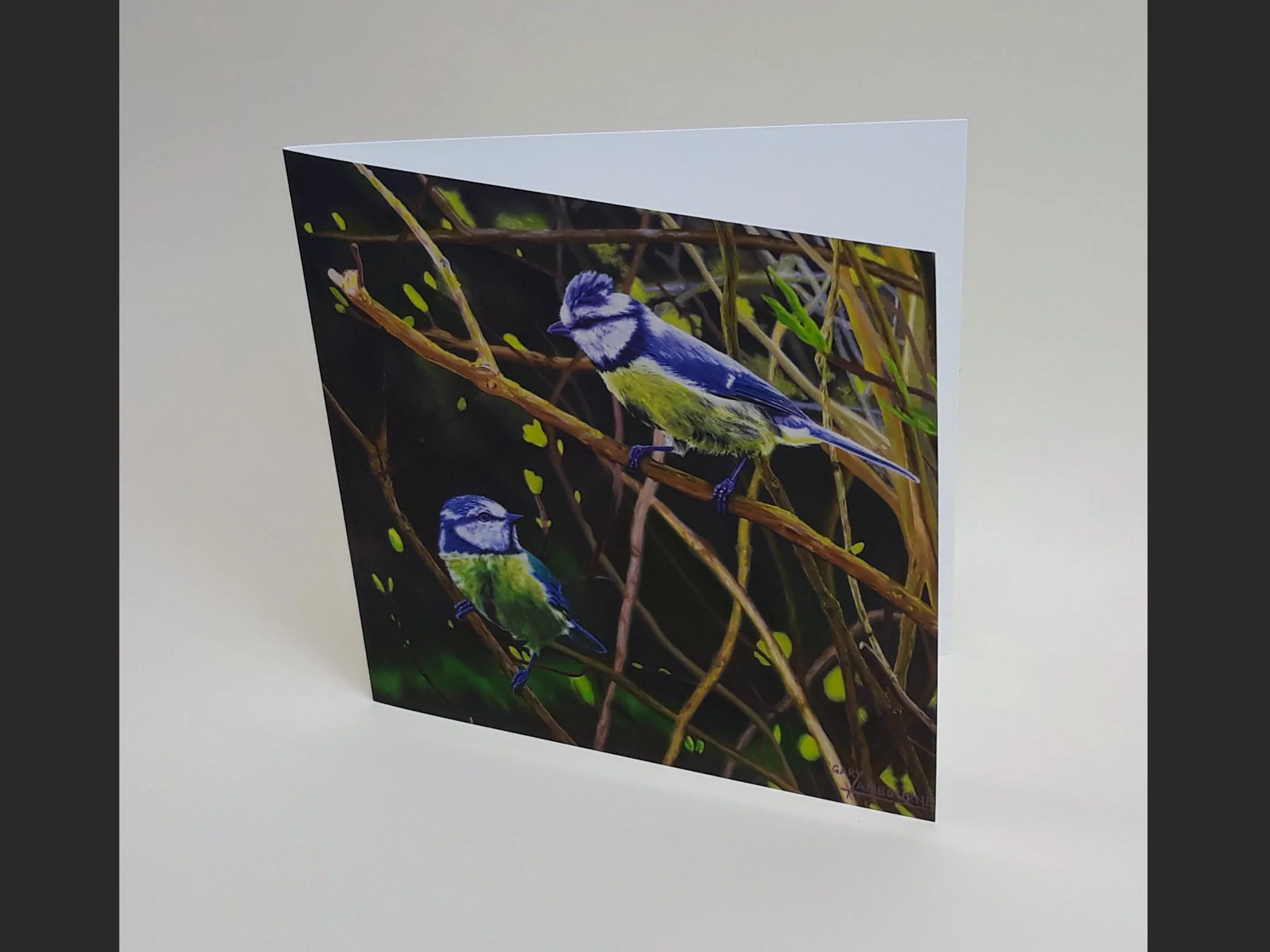 4.3 Bluetit card front Copyright Image.jpg