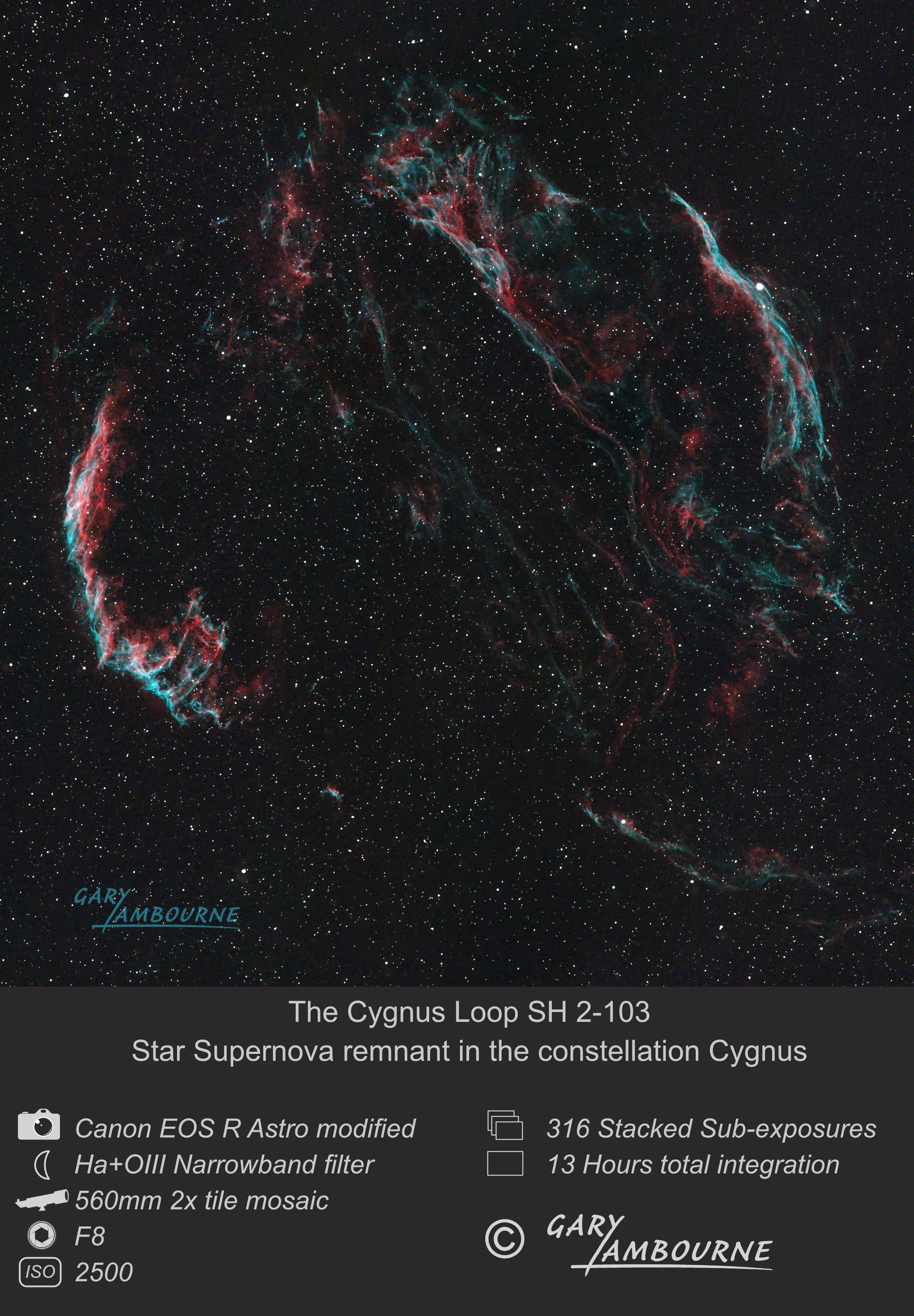 Cygnus Loop Copyright Image