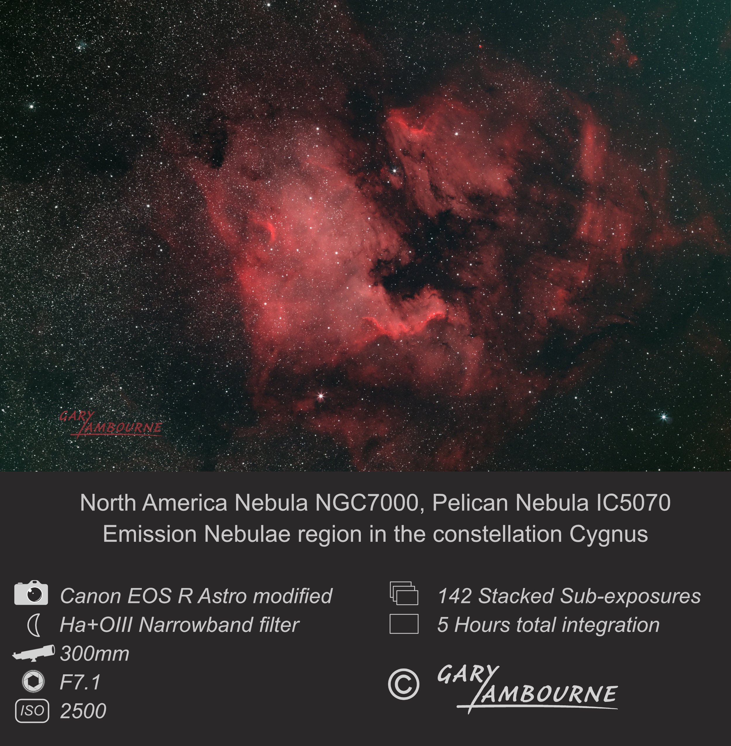 North America Nebula Copyright Image