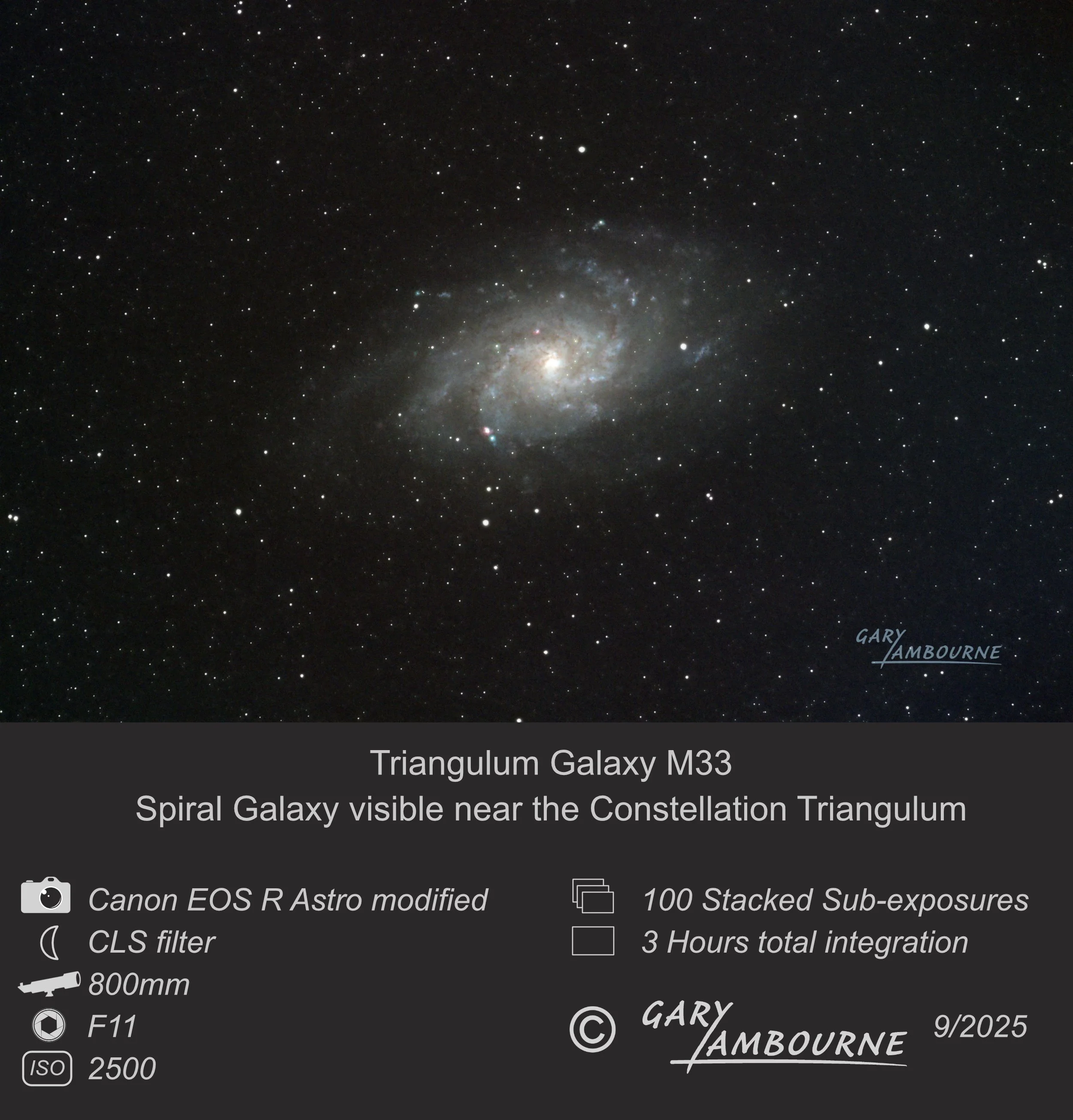 Triangulum Galaxy Copyright Image