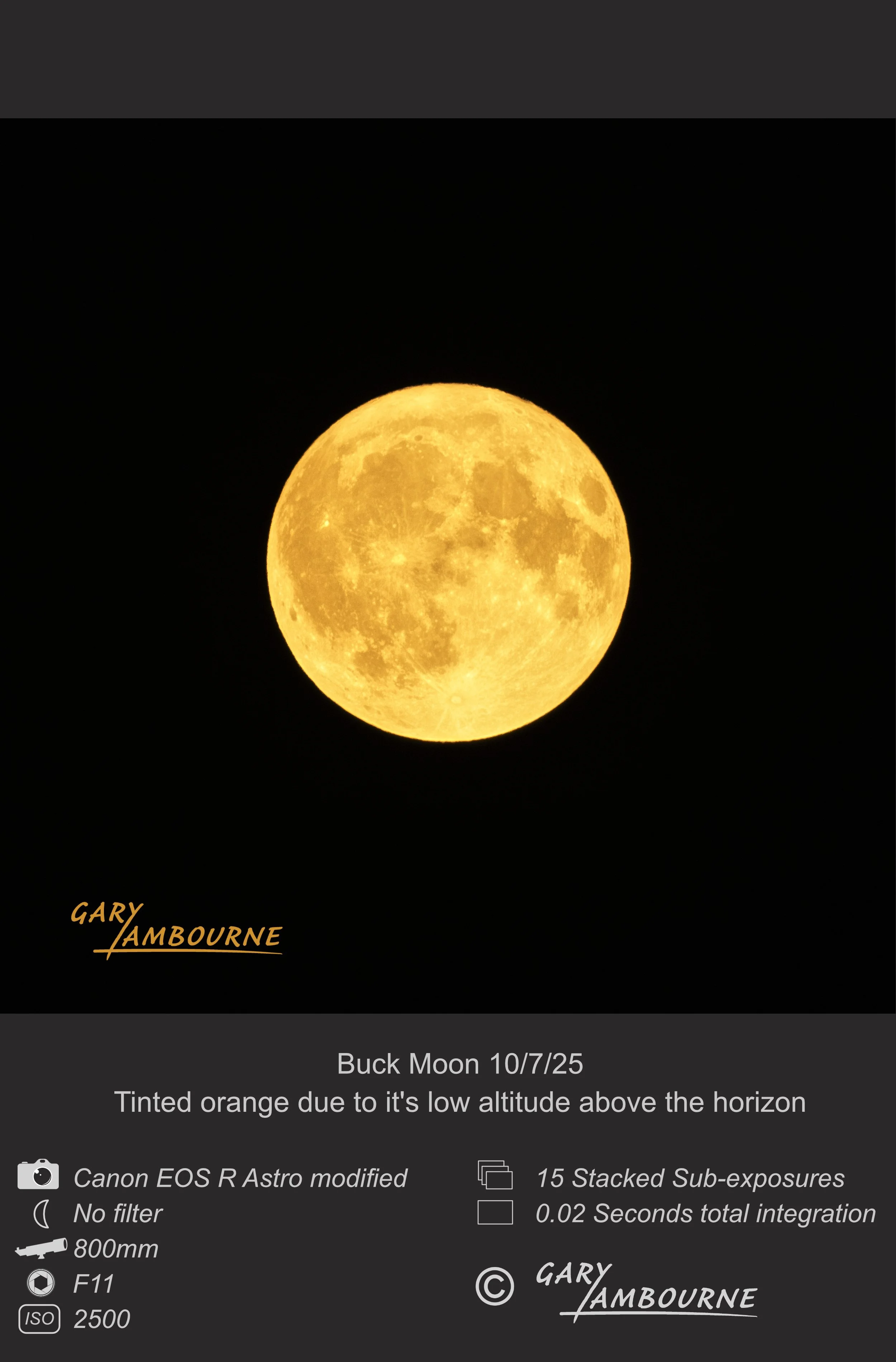 Website tile Buck Moon Copyright Image.jpg