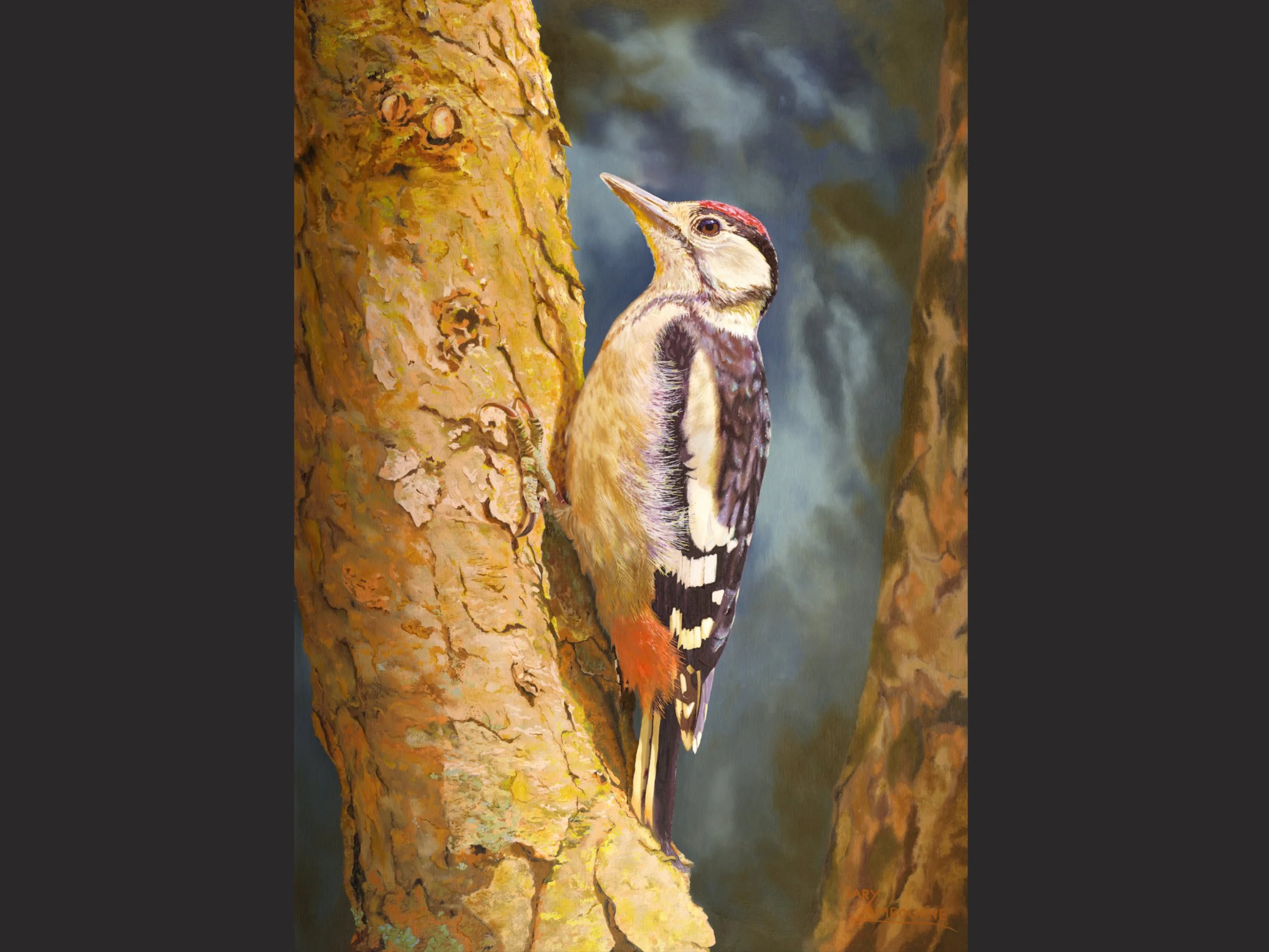 Woodpecker Greeting Card, fine art image, 300GSM glossy finish, blank inside