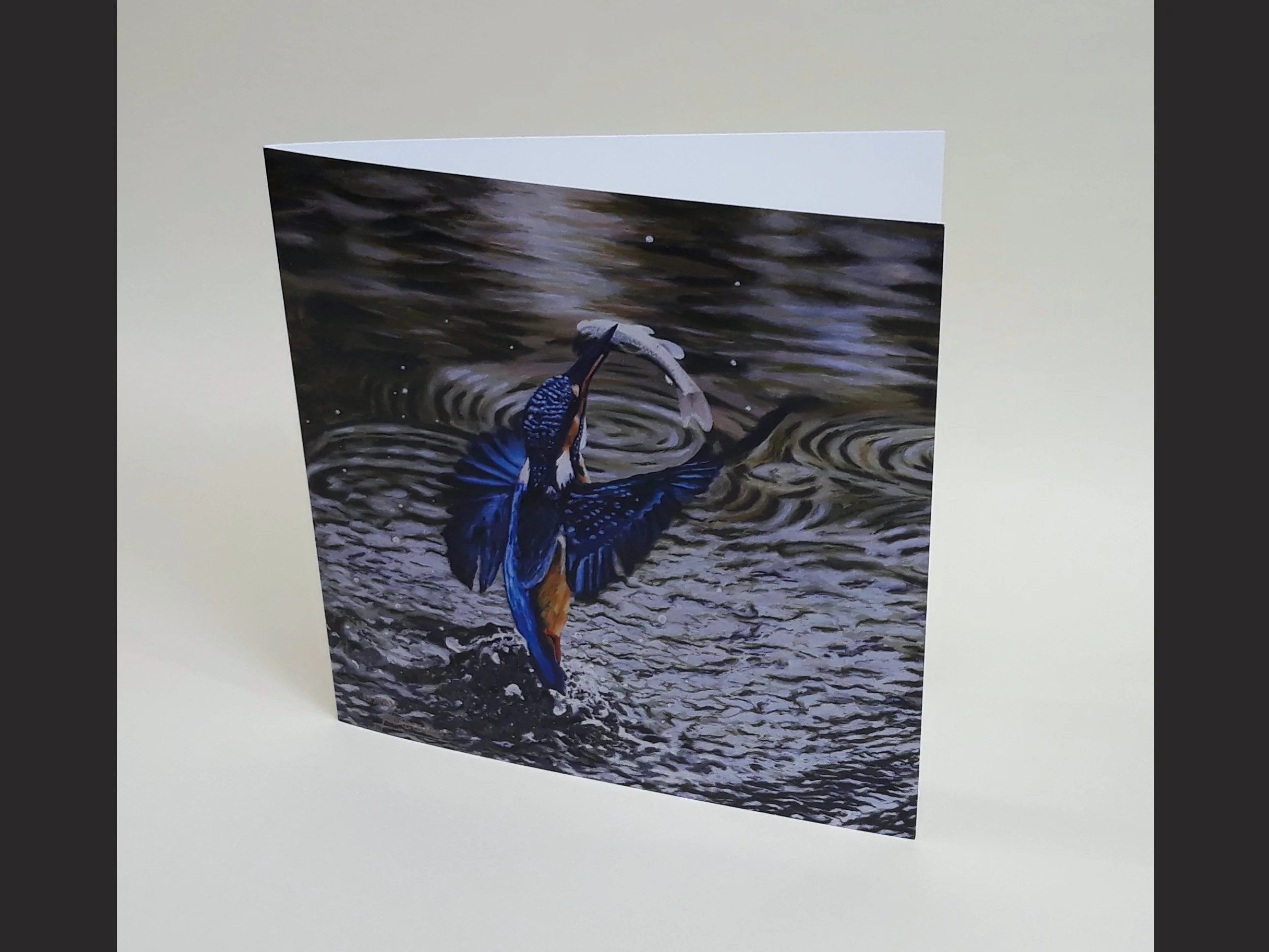 4.3 Kingfisher card front Copyright Image.jpg