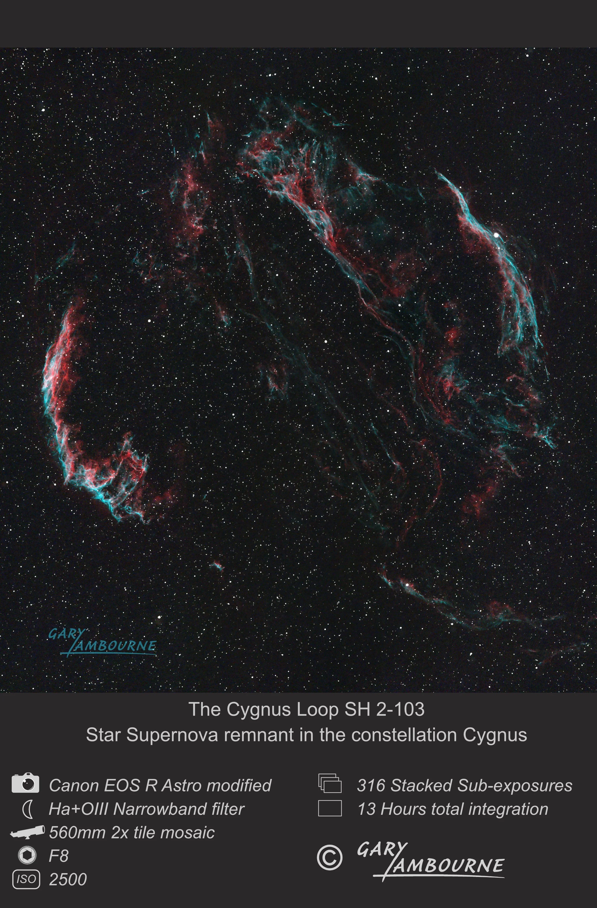 Website tile Cygnus Loop Copyright Image.jpg