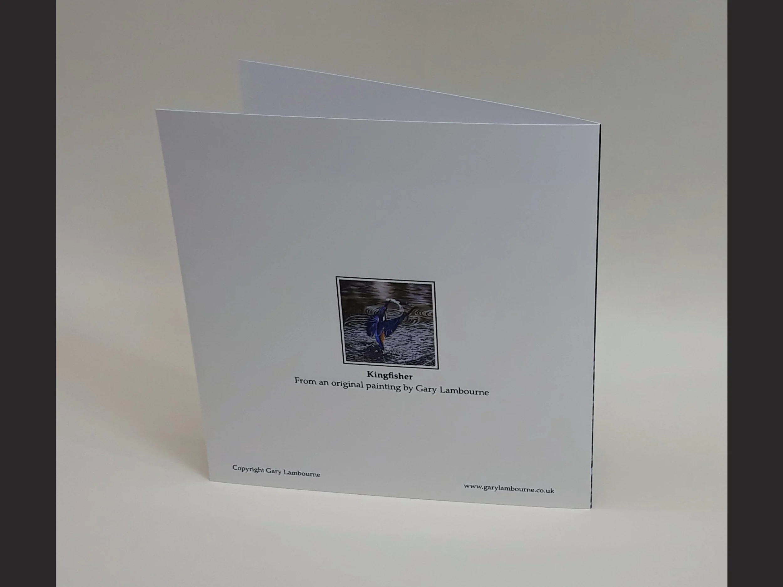 4.3 Kingfisher card back Copyright Image.jpg