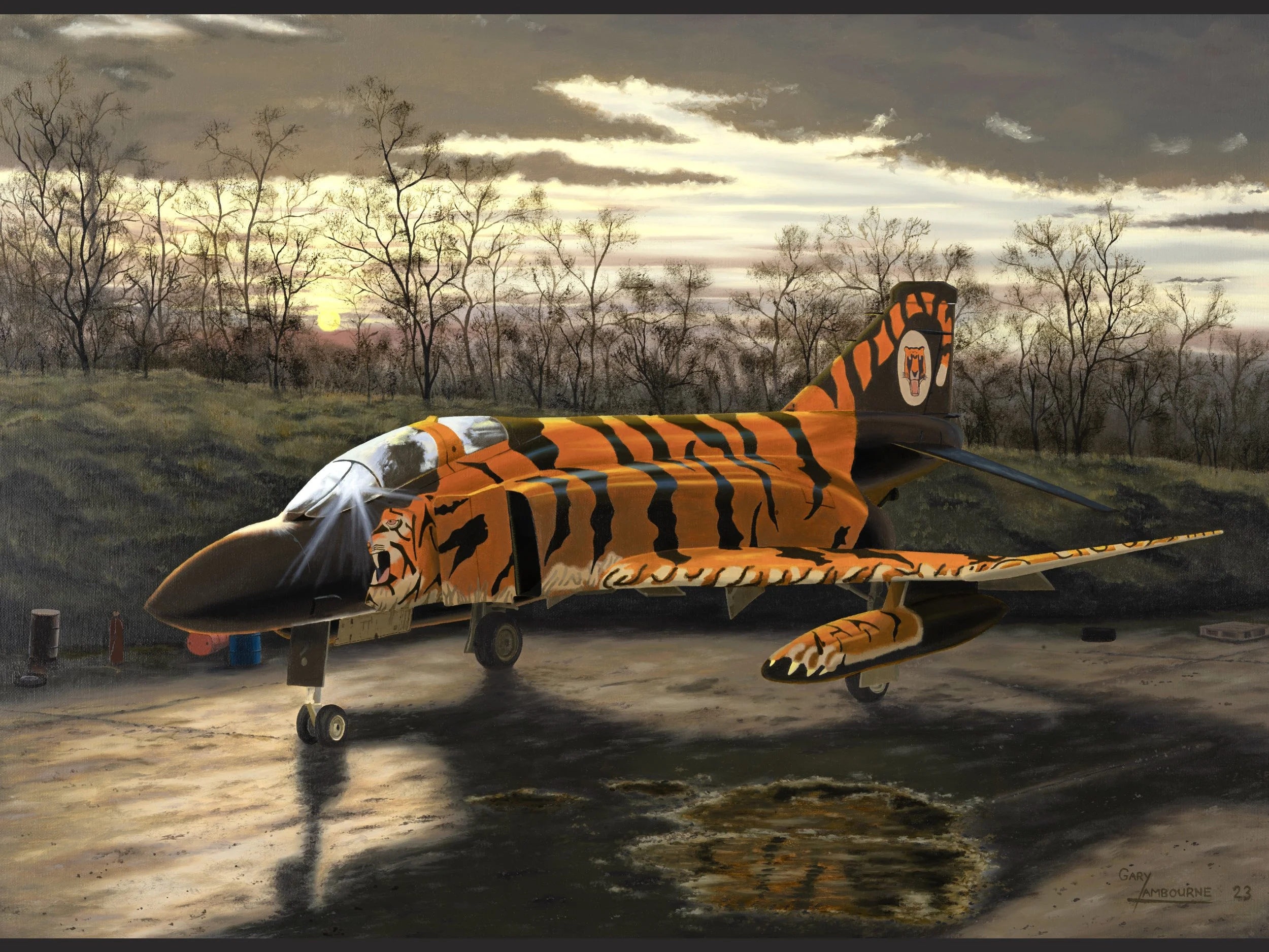 'Endangered Tiger' RAF Phantom, Greeting Card 300GSM glossy finish, blank inside