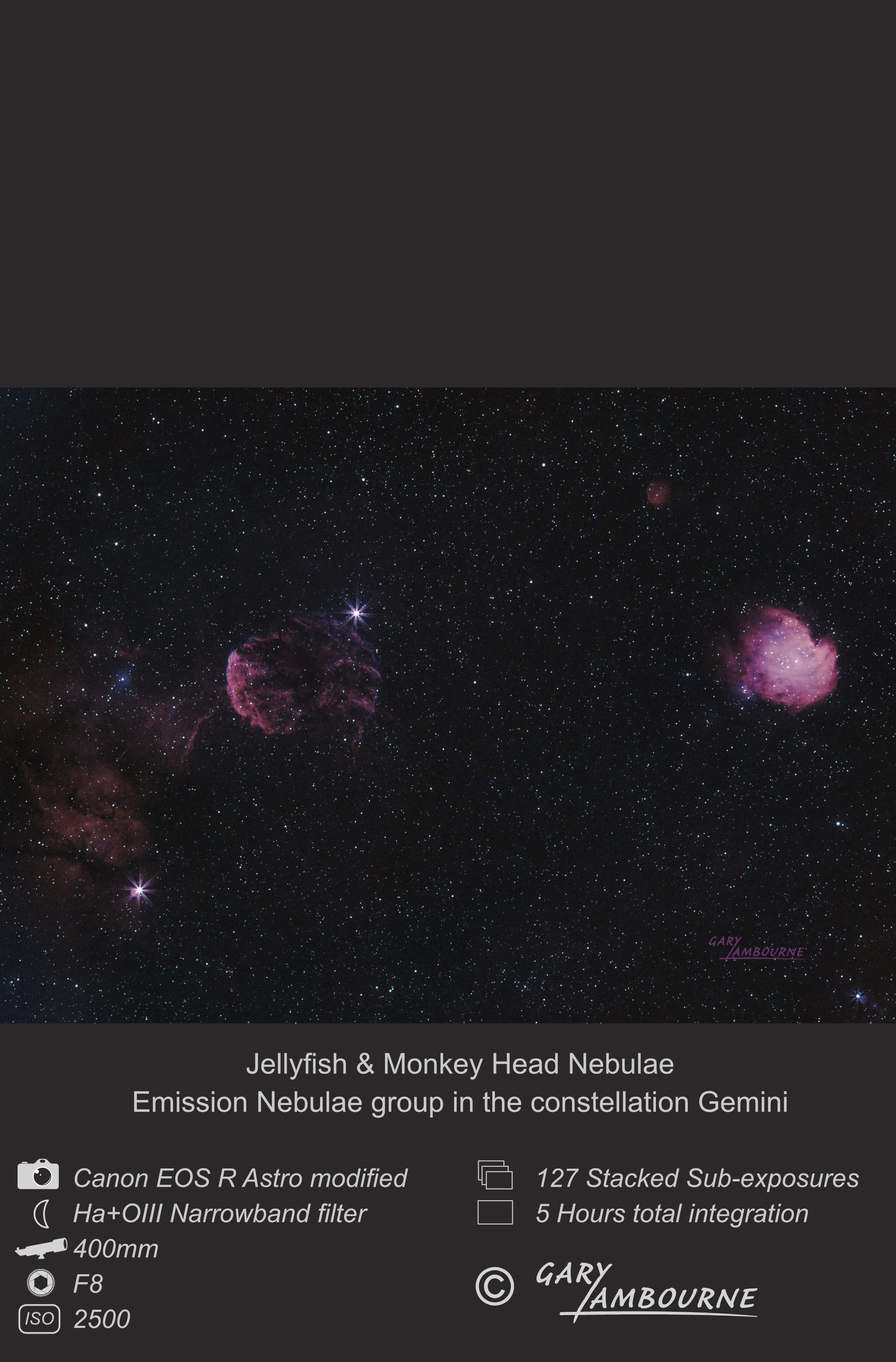 Website tile Jellyfish Copyright Image.jpg