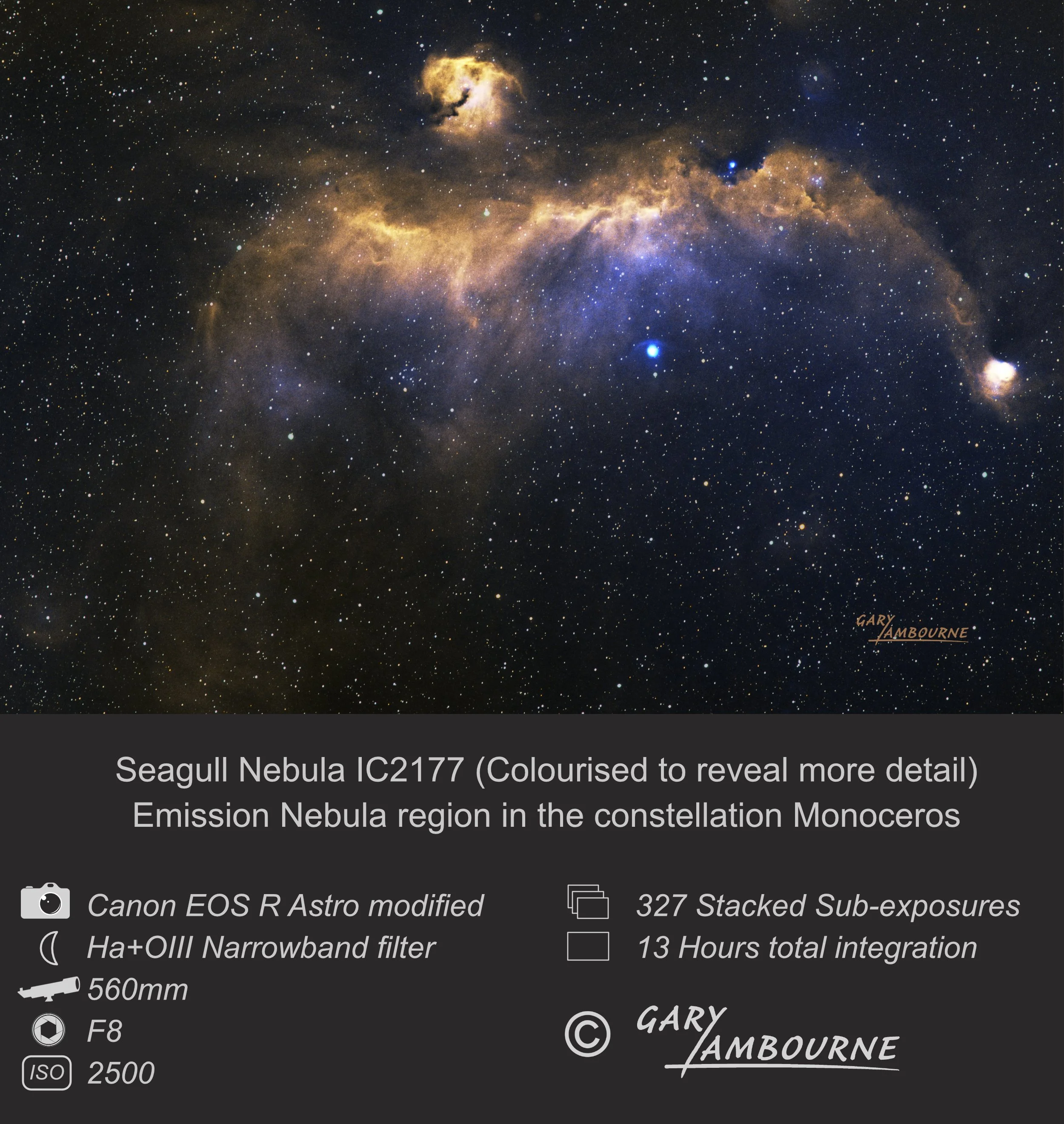 Seagull Nebula Copyright Image