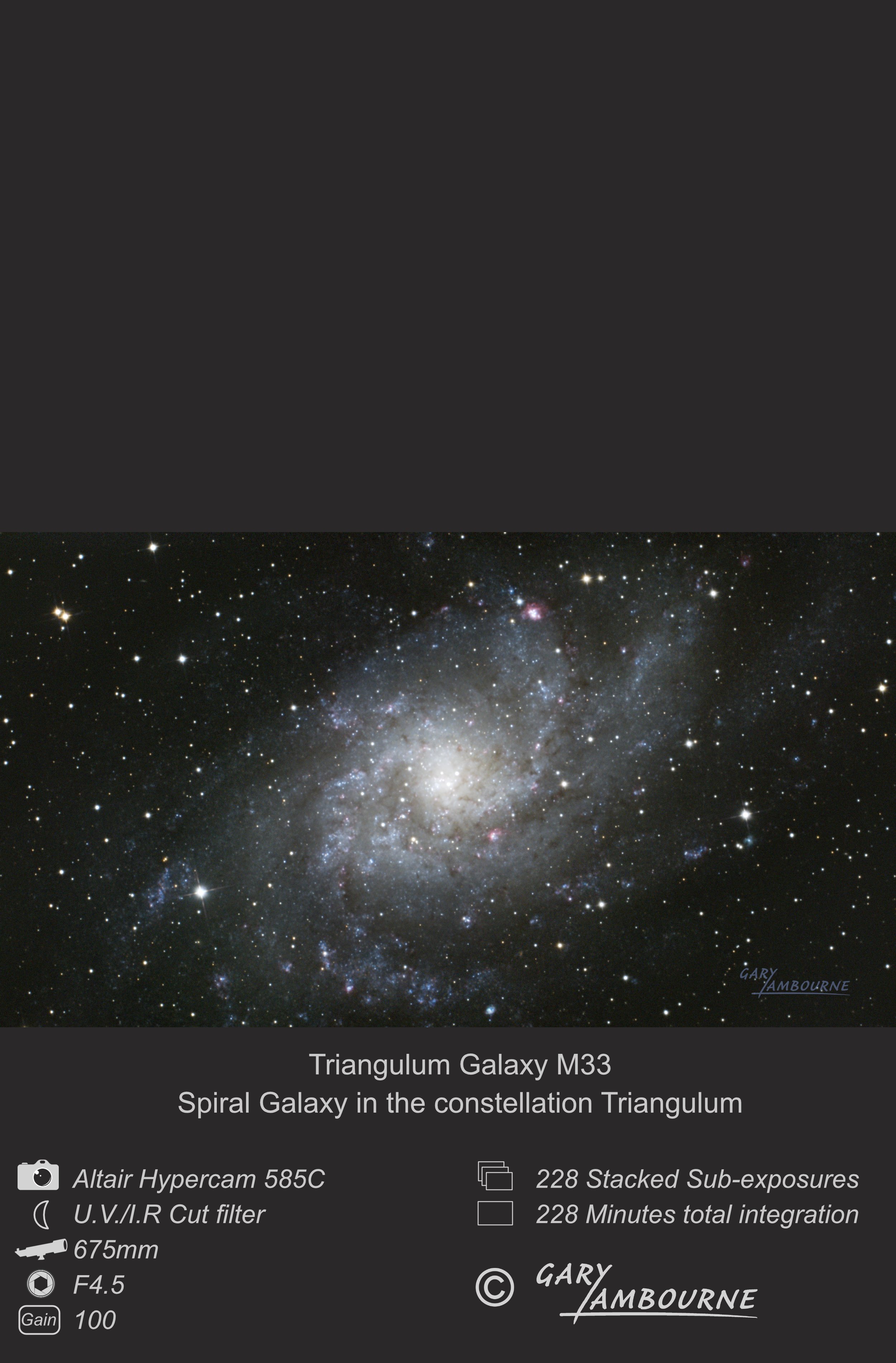 Website tile Triangulum Close Up Copyright Image.jpg