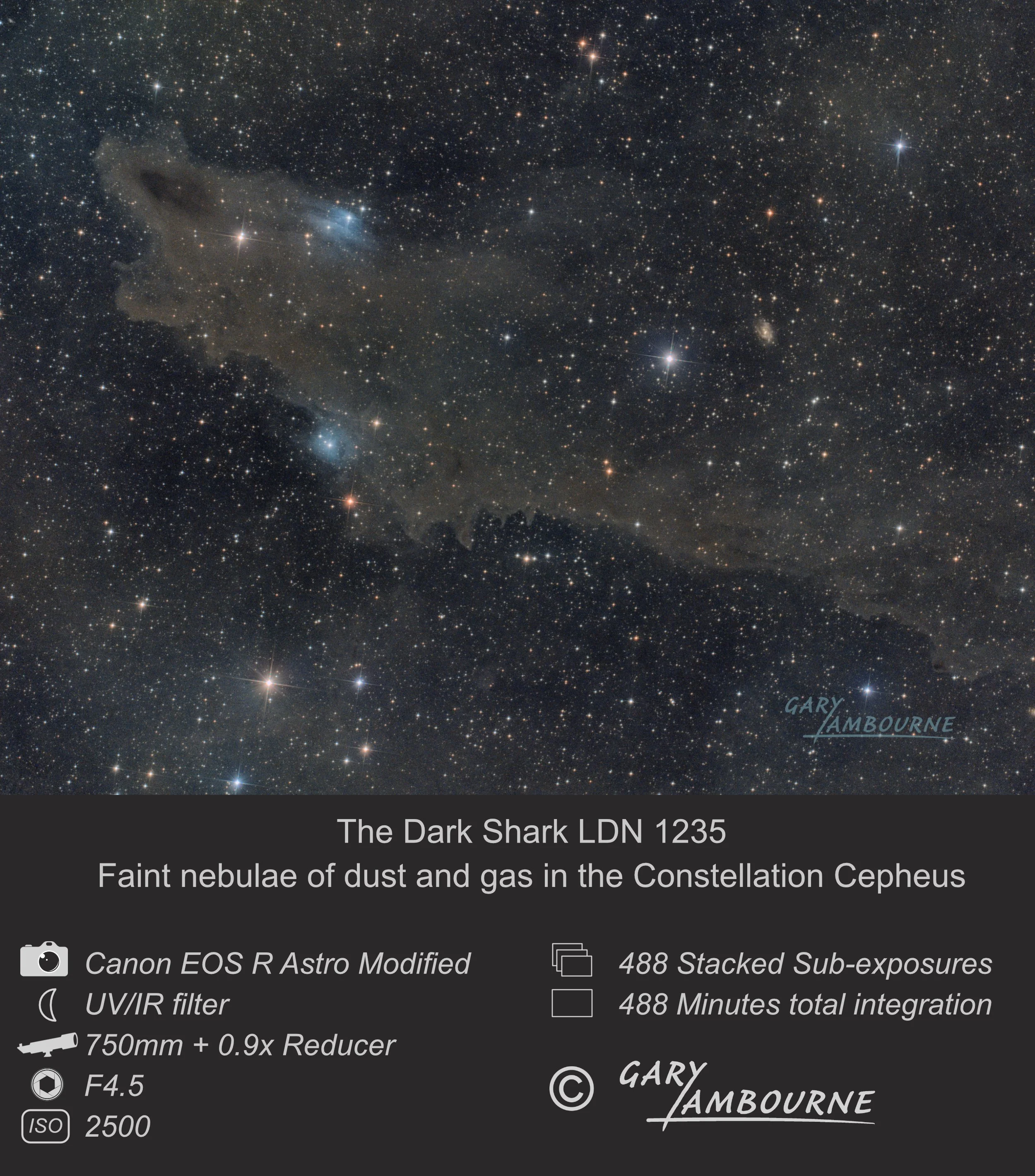 The Dark Shark Nebula LDN 1235 by Gary Lambourne