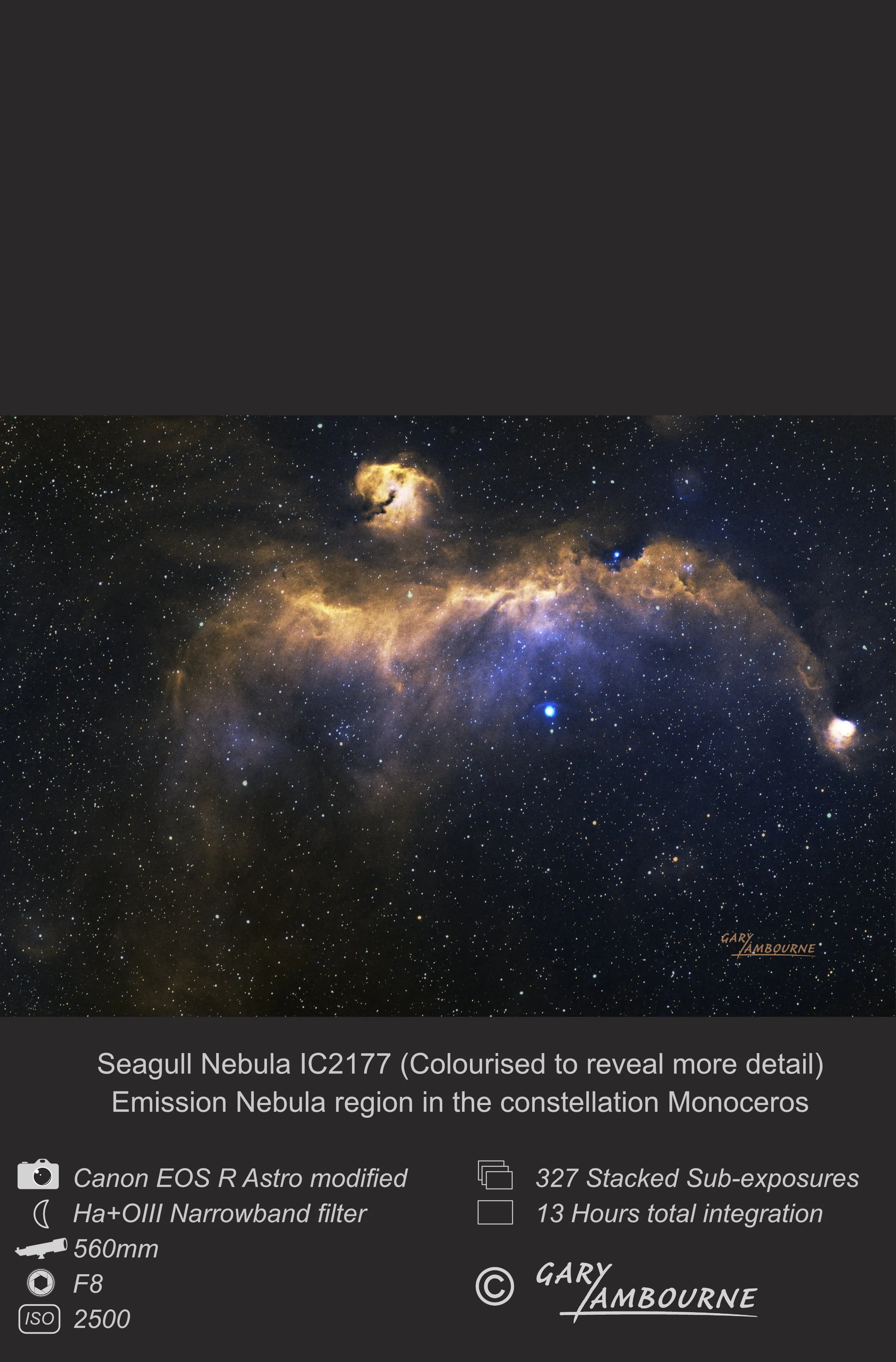 Website tile Seagull Nebula Copyright Image.jpg