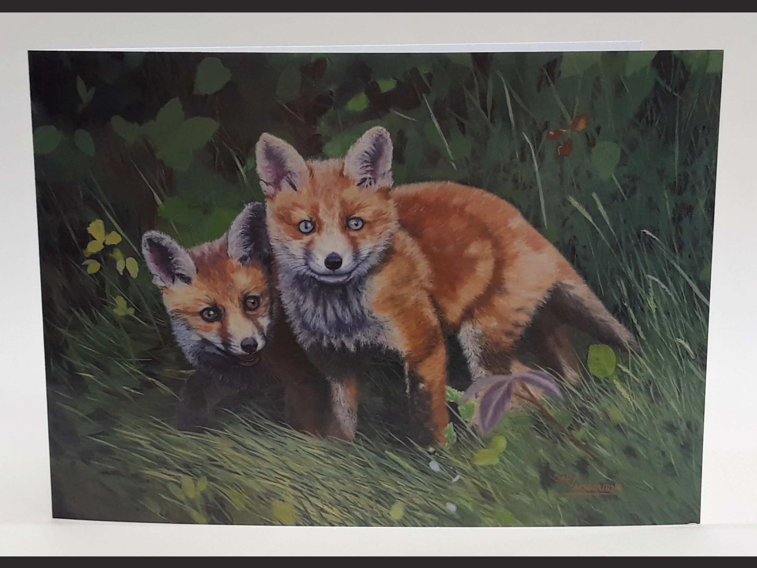 4.3 Red Fox Cubs card front Copyright Image.jpg