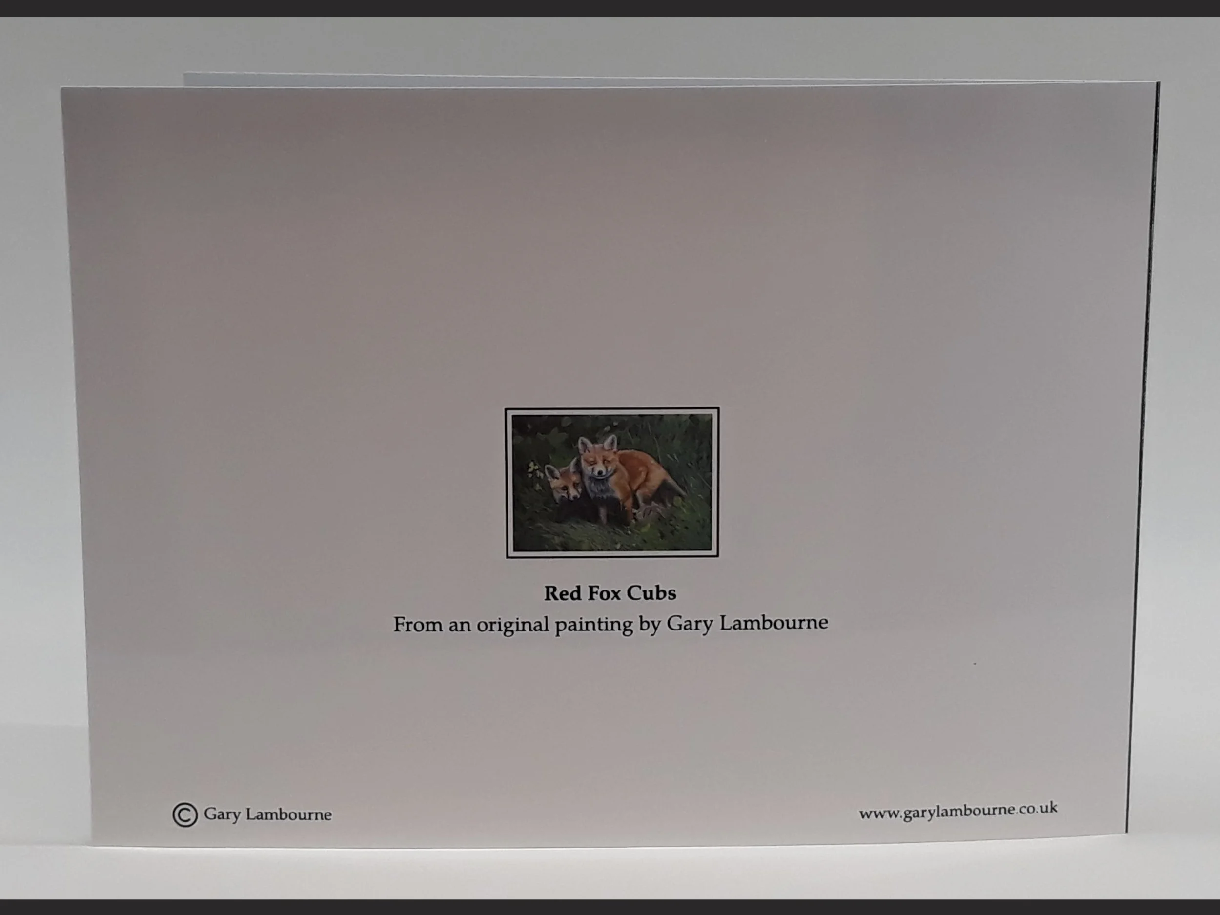 4.3 Red Fox Cubs card back Copyright Image.jpg