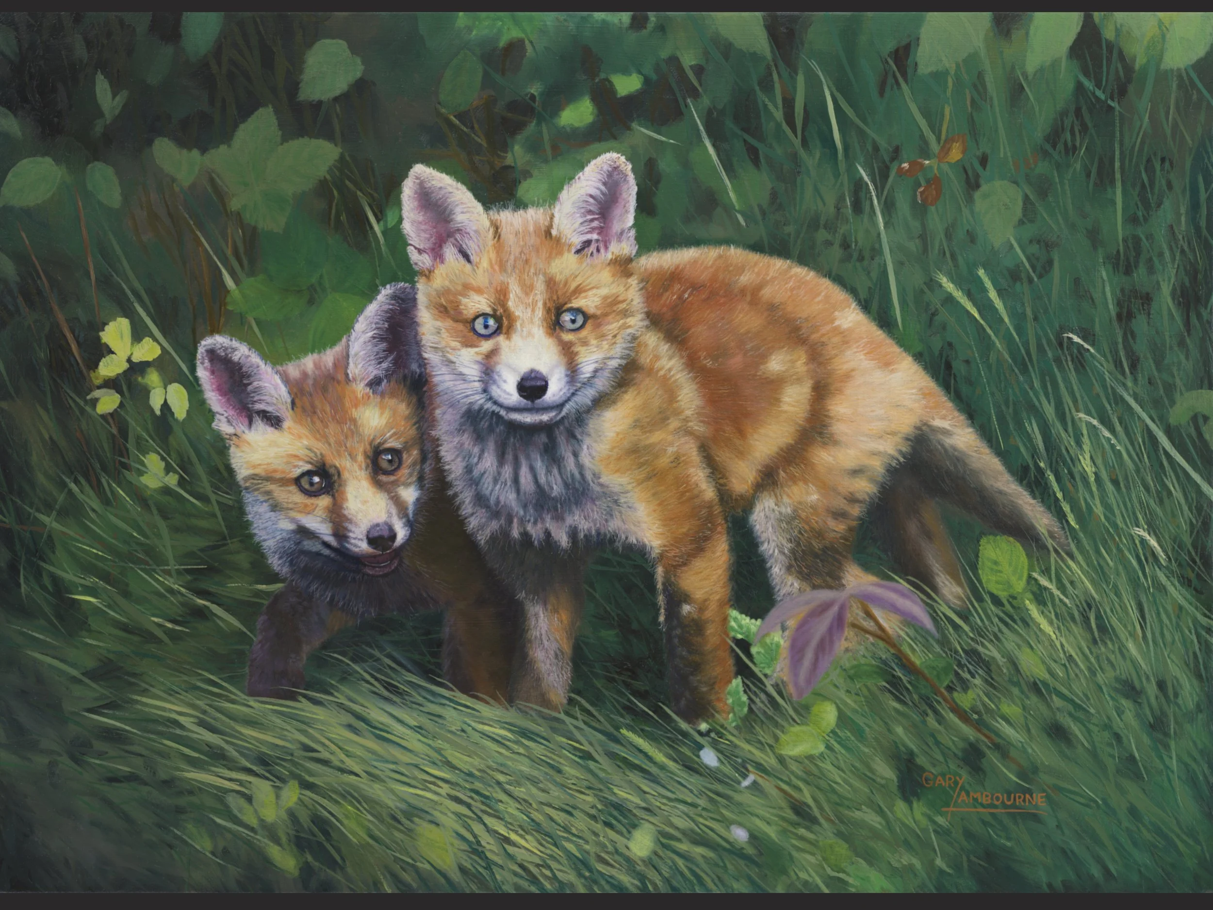 4.3 Red Fox Cubs Painting Copyright Image.jpg