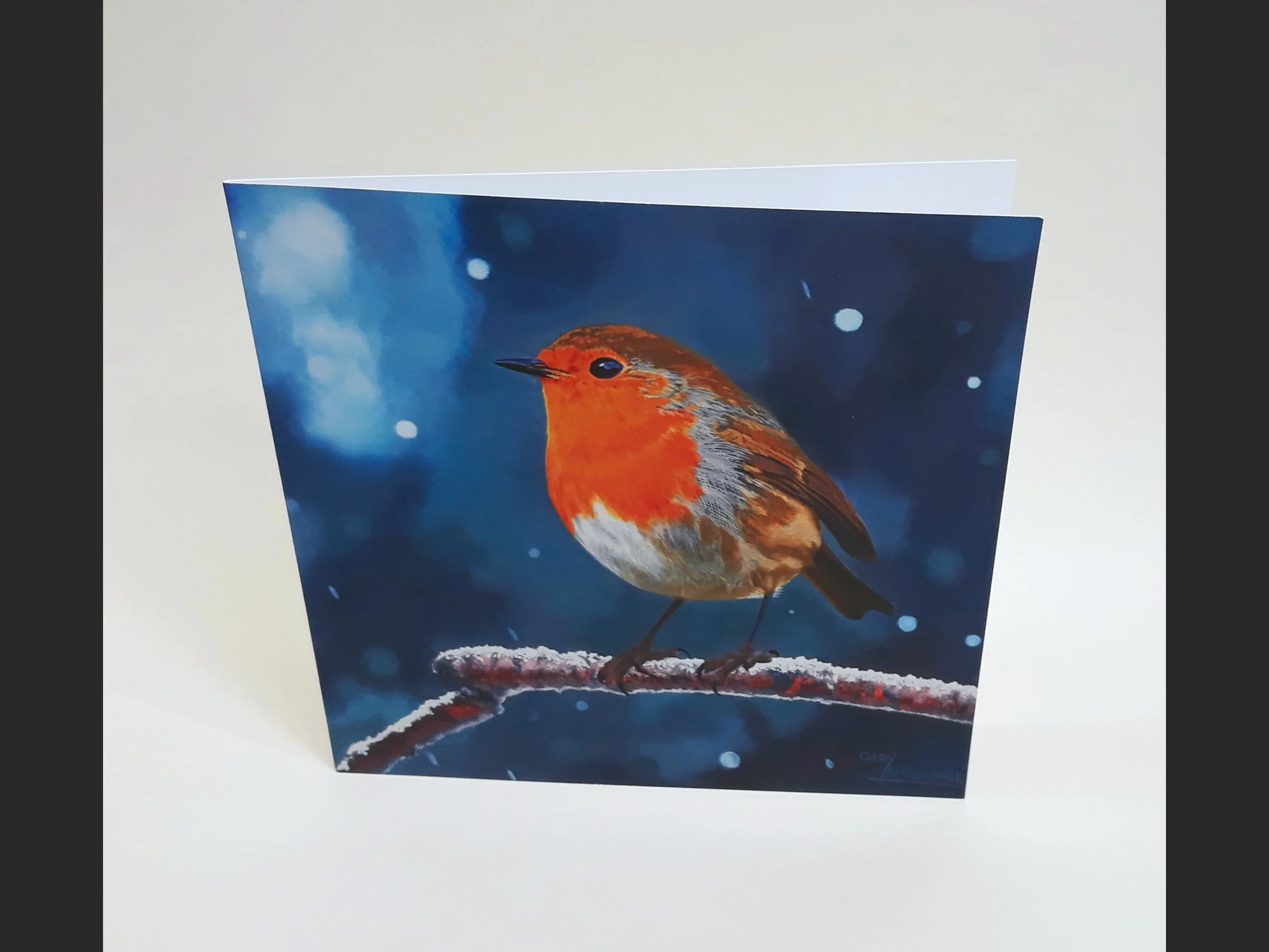 4.3 Winter Robin card front Copyright Image.jpg