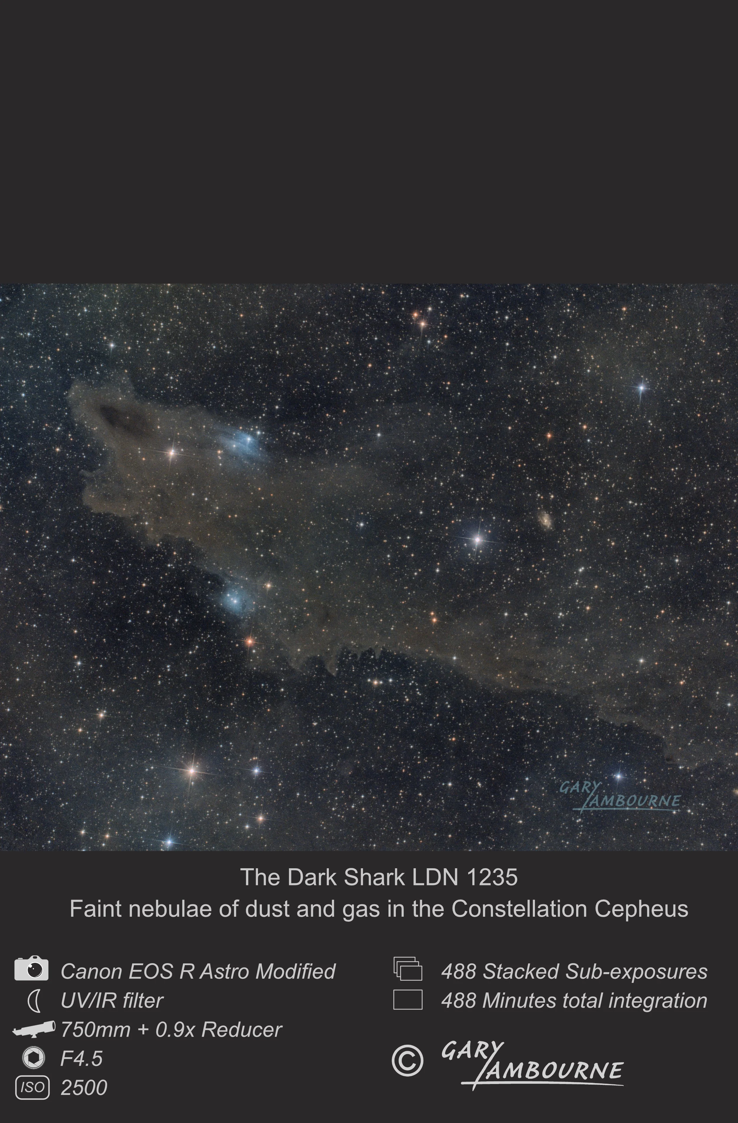 Website tile The Dark Shark Copyright Image.jpg