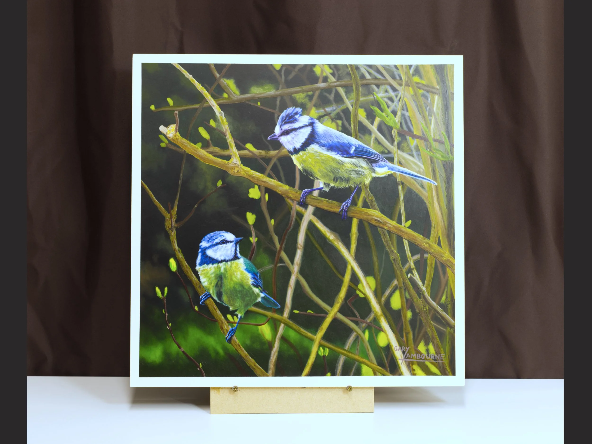 'British Garden Birds - Blue Tit' Original Oil Painting