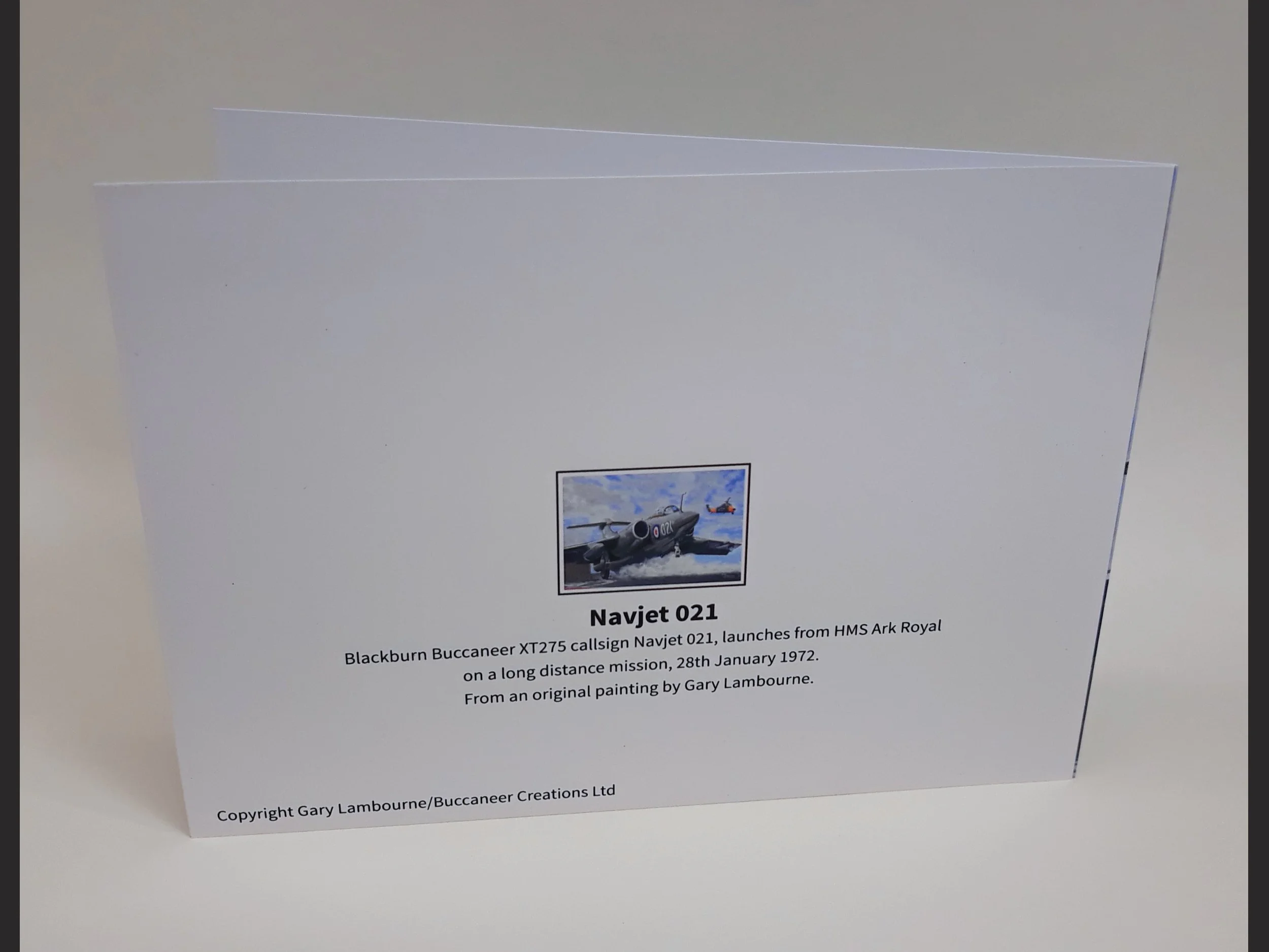 4.3 Navjet 021 card back Copyright Image.jpg