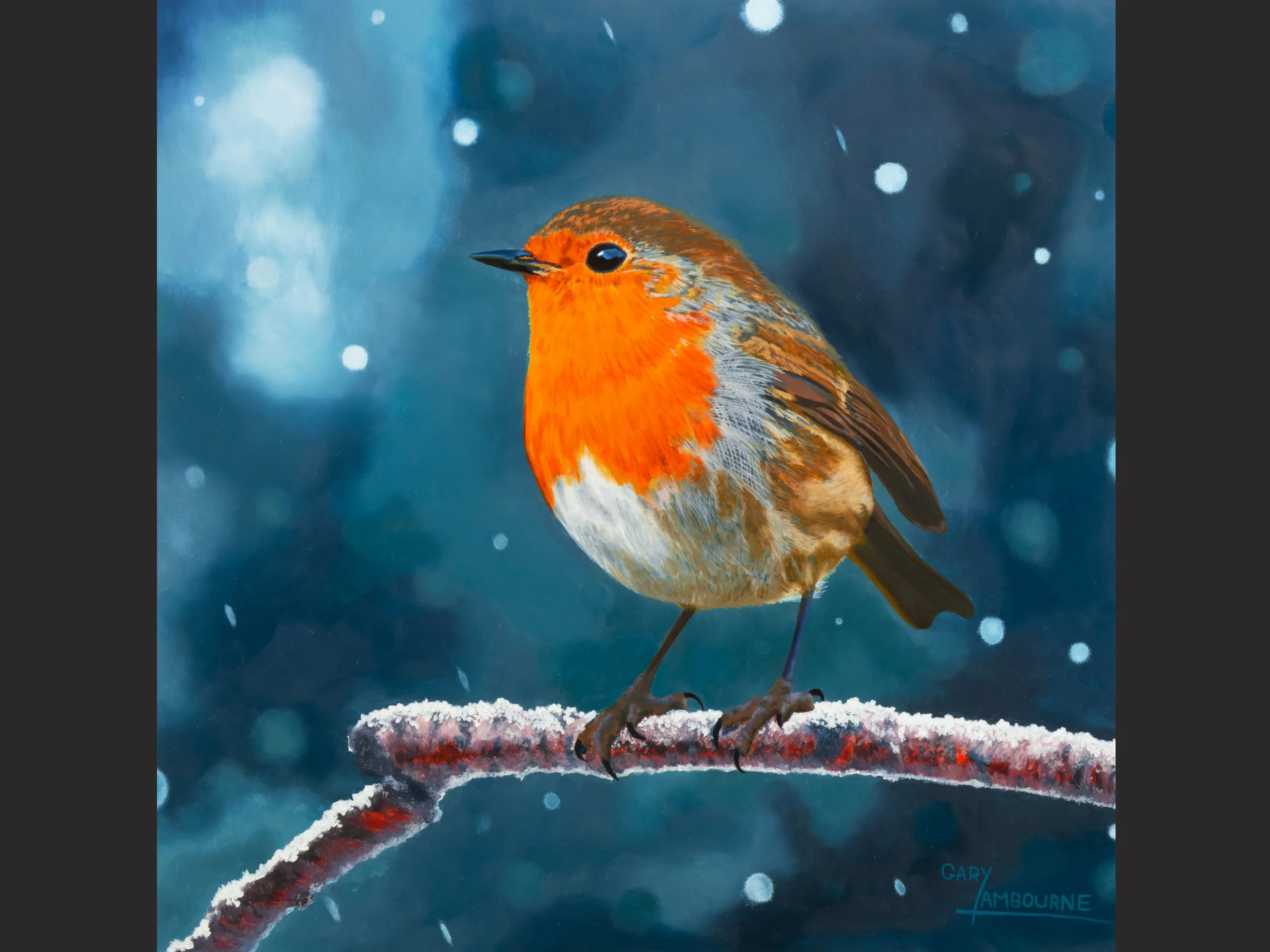 Winter Robin Christmas Card, fine art image, 300GSM glossy finish, blank inside