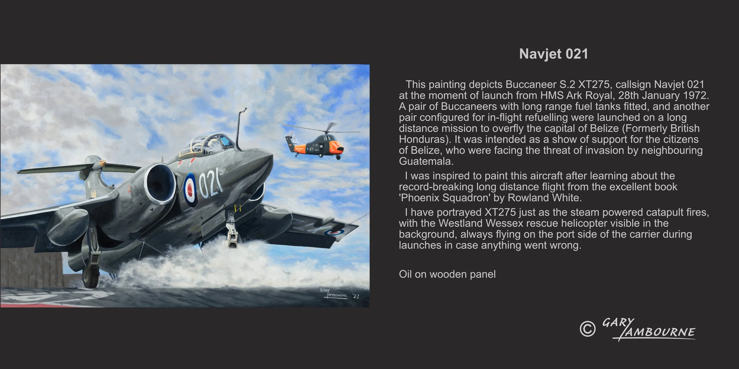 Navjet 021 Blackburn Buccaneer S.2 Oil painting