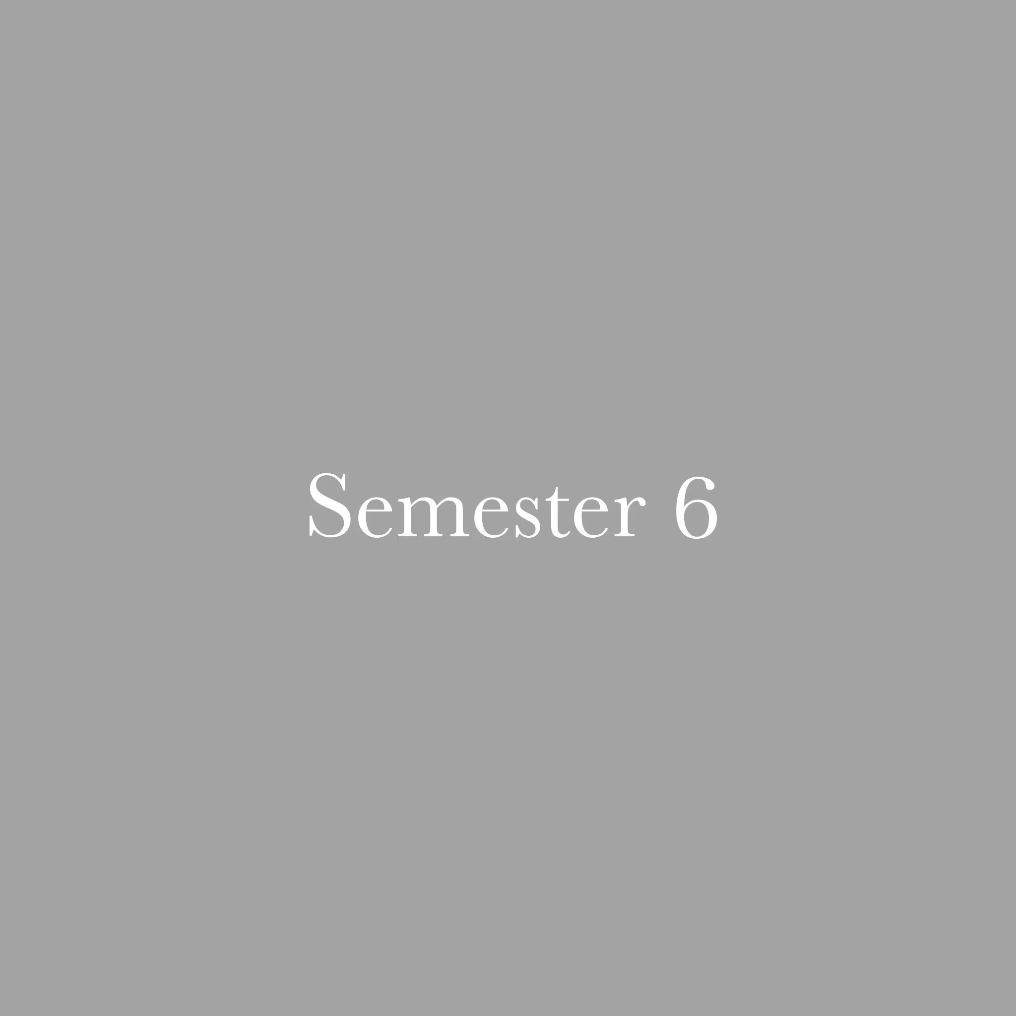 Semester 6