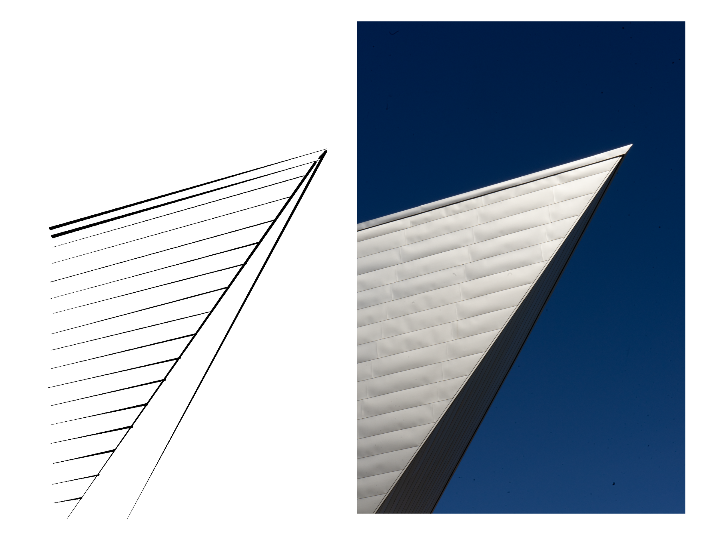 Untitled_Artwork (1).png