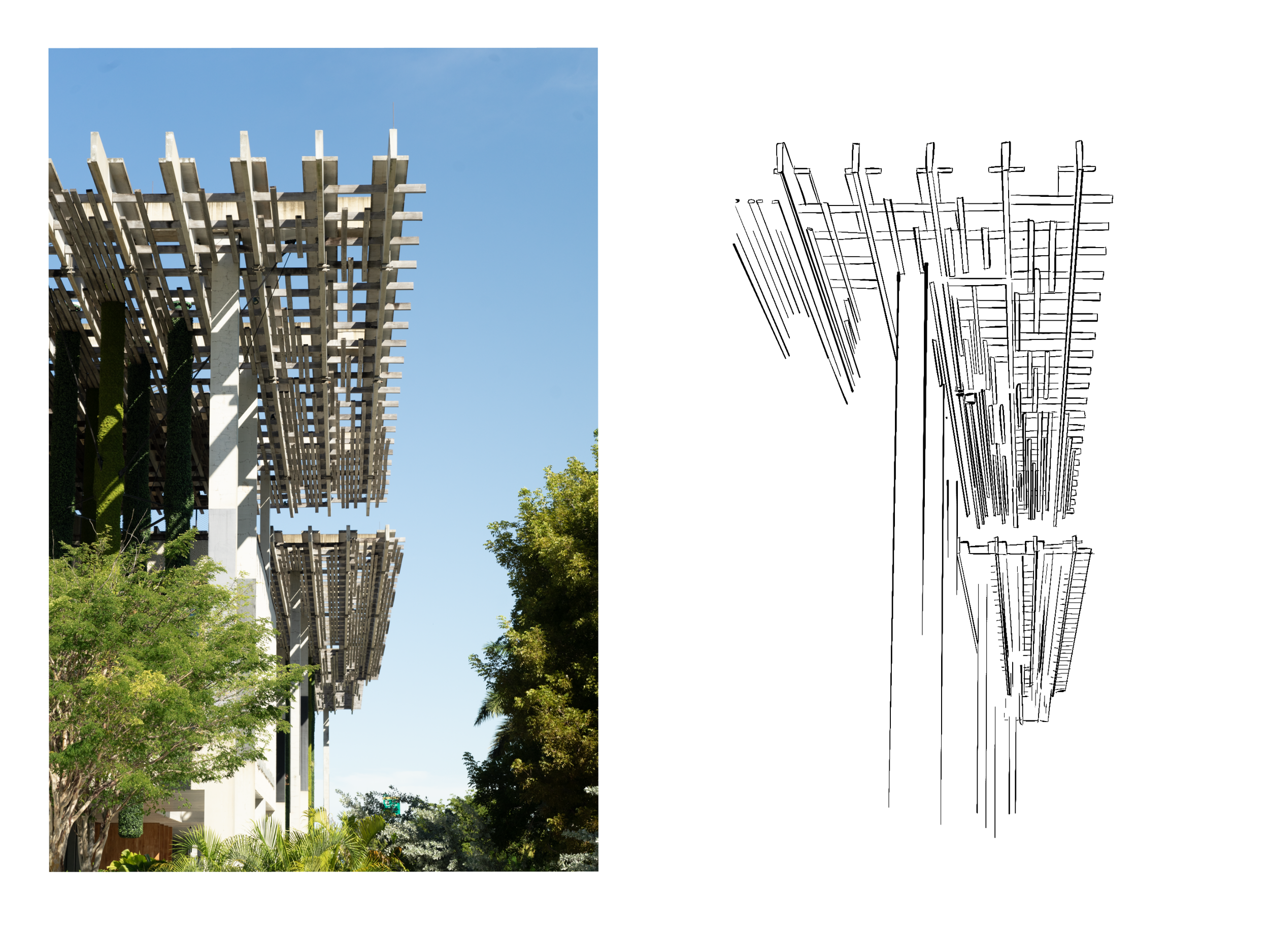 Untitled_Artwork 3.png