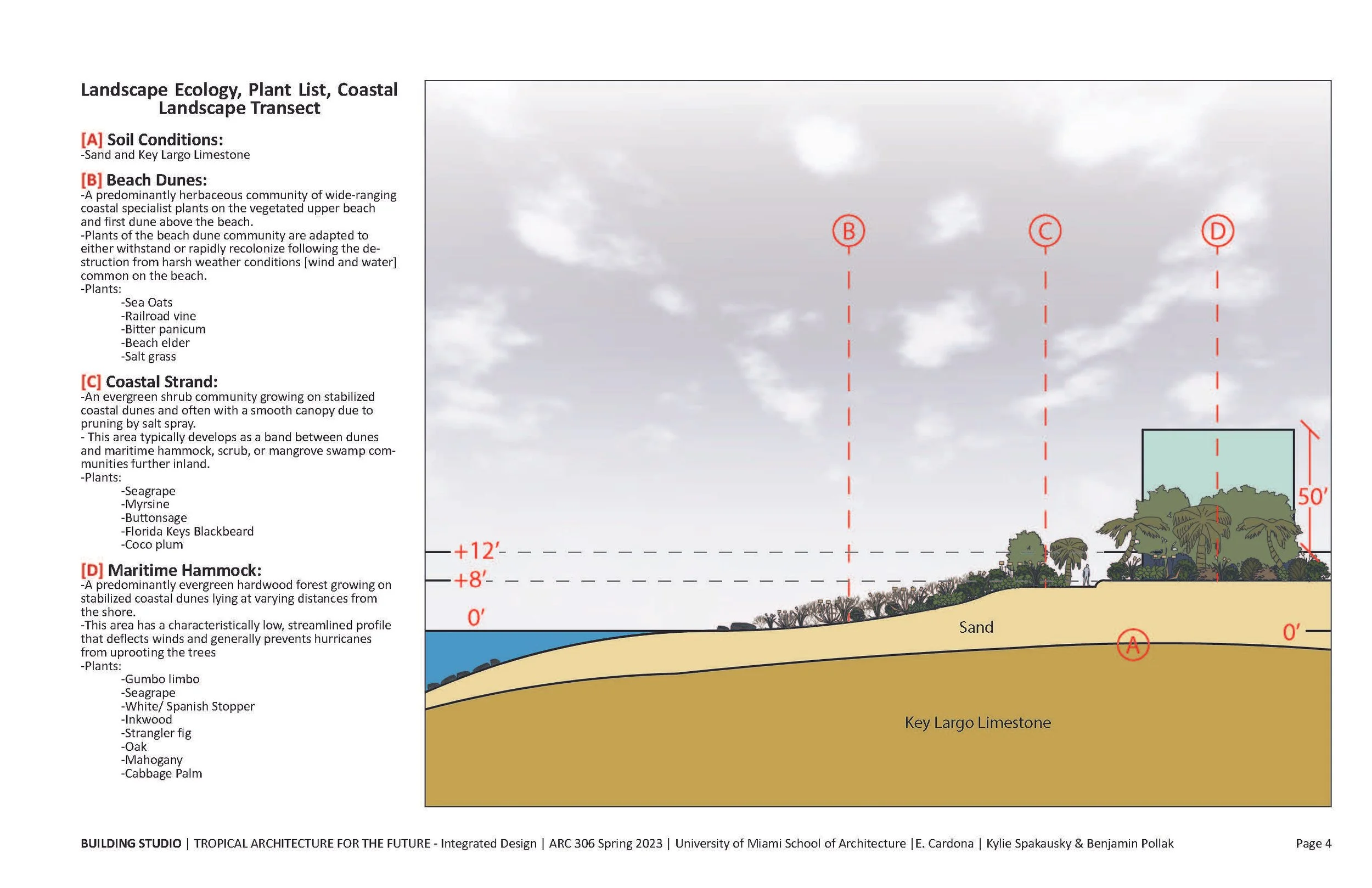 4-17-24_ARC306_Cardonna_S24_Hammer_Hanning_100% SUBMISSION_Page_05.jpg