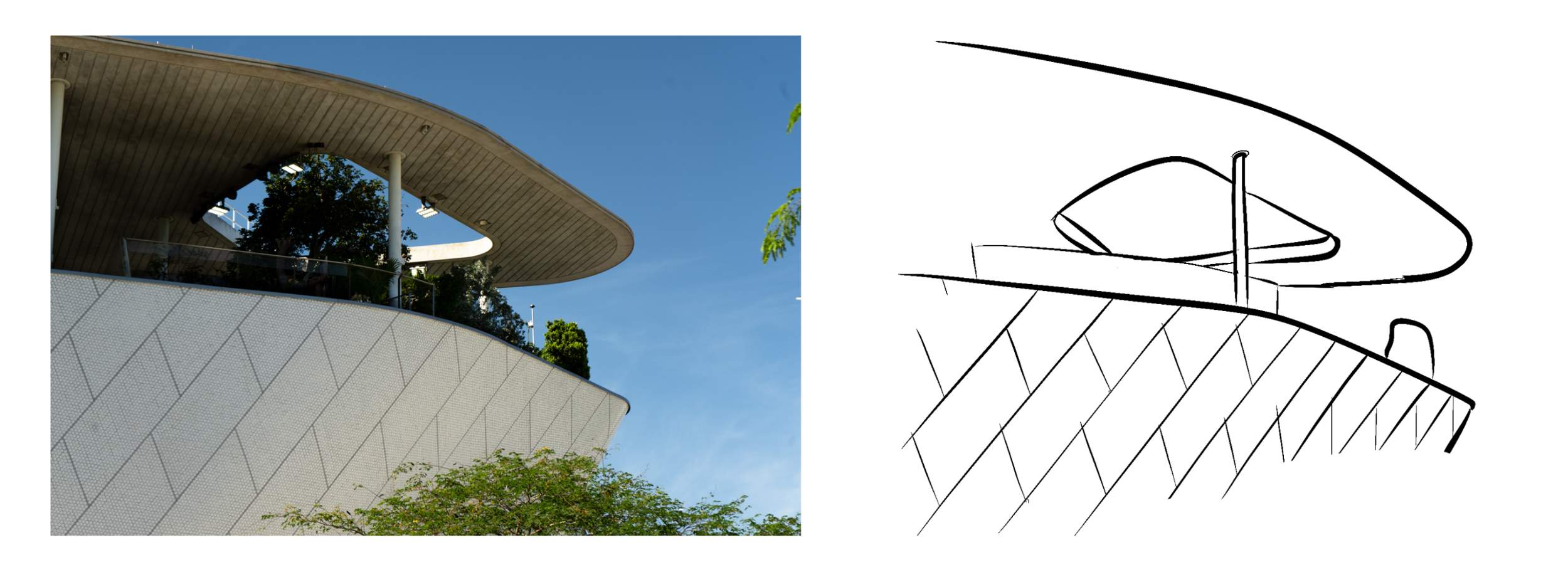 Untitled_Artwork 23.png