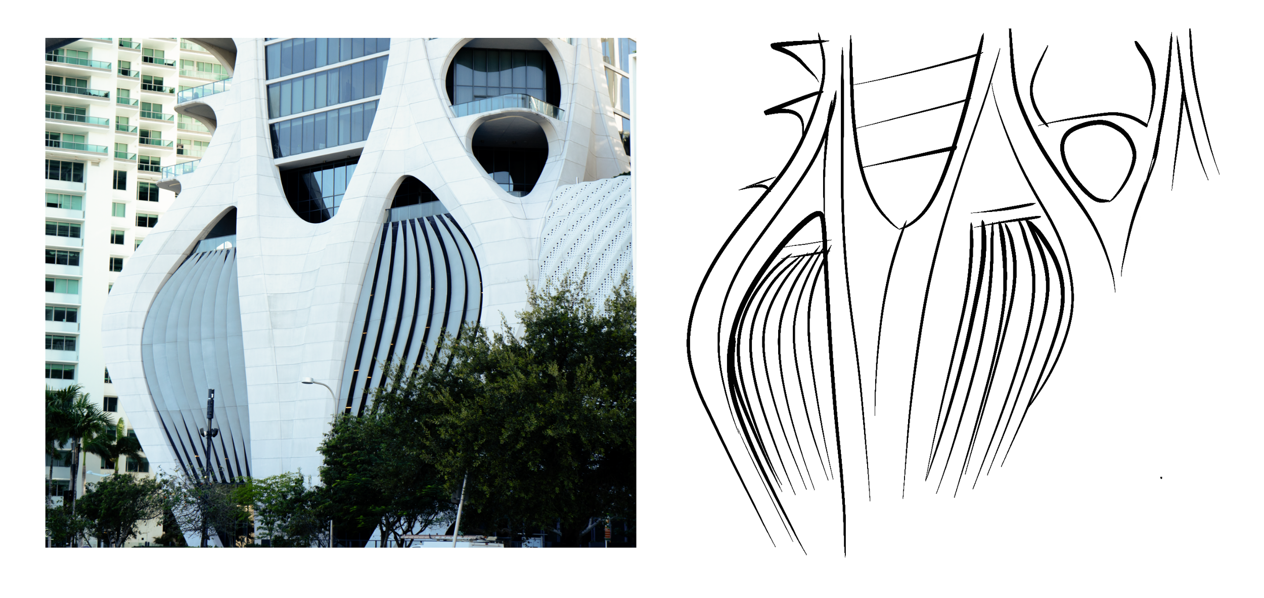 Untitled_Artwork 1.png