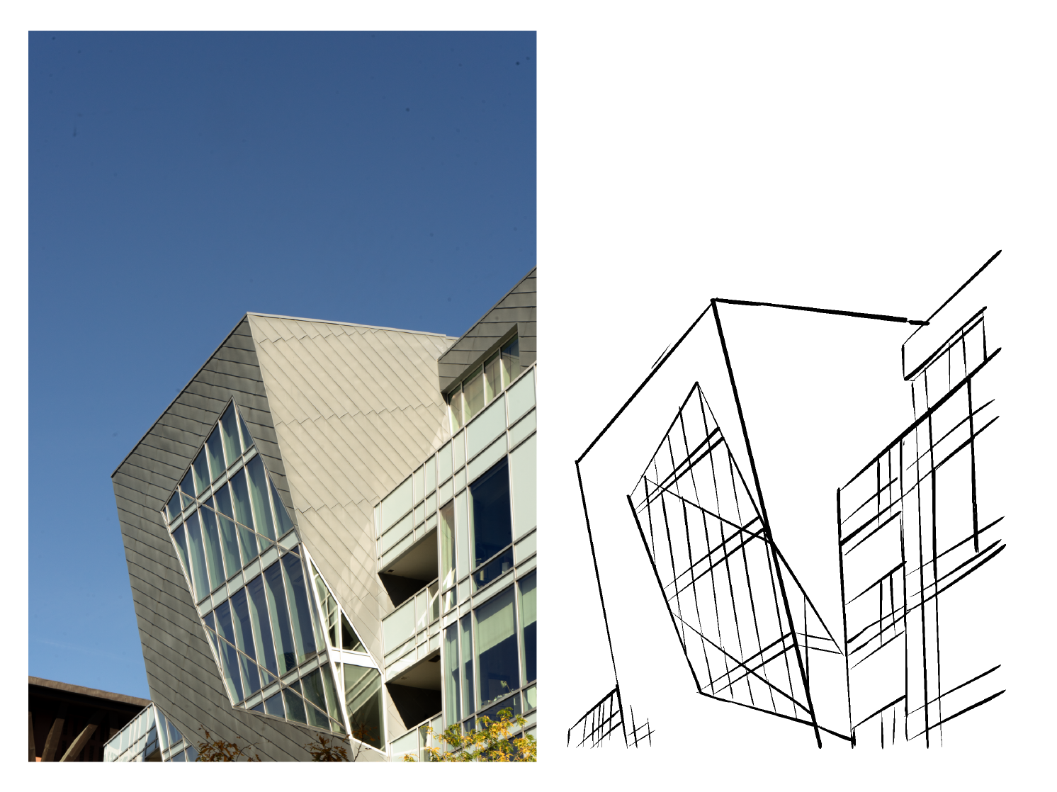 Untitled_Artwork 2.png