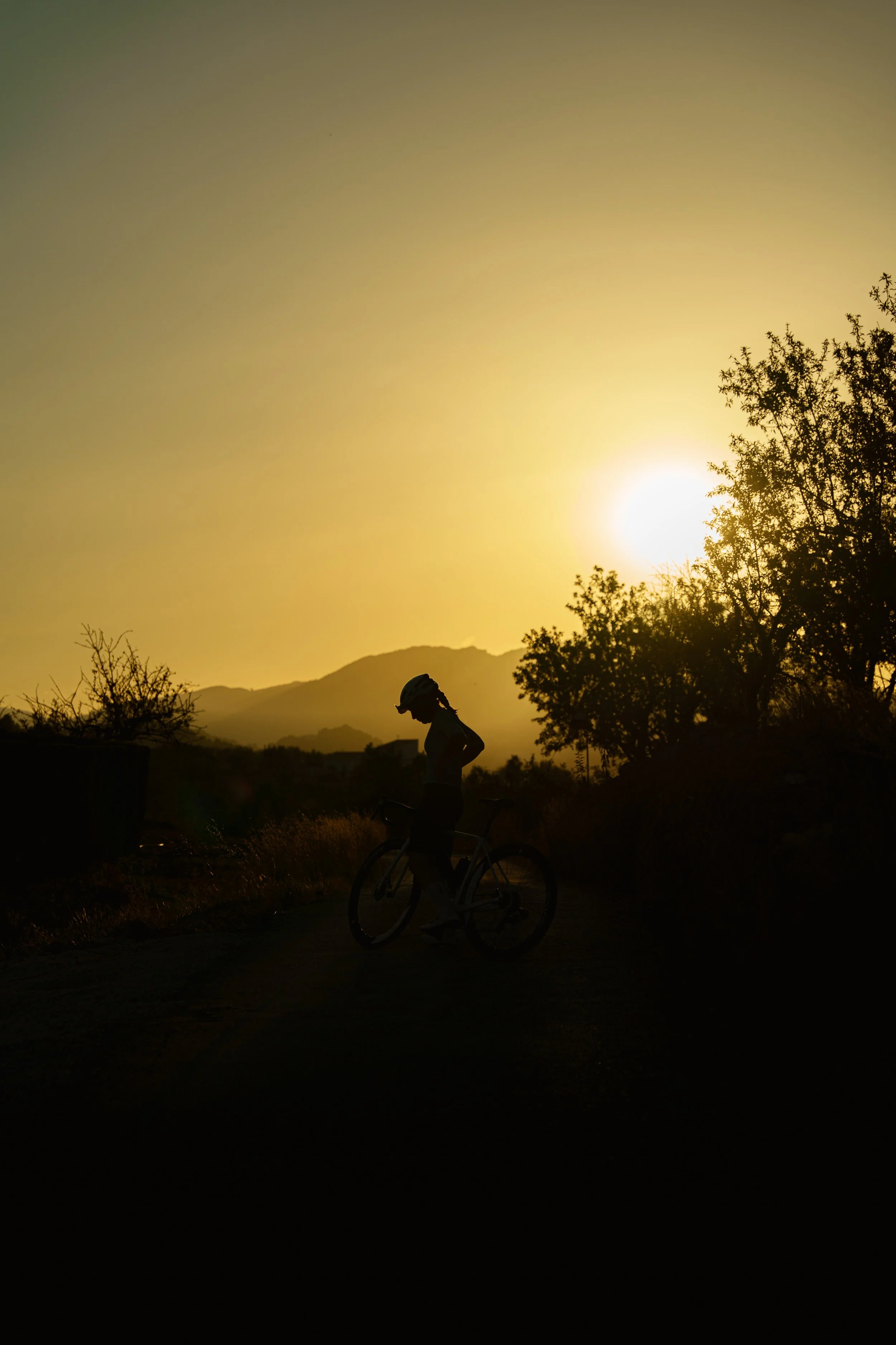 Silhouetted cyclist standing with a bicycle at sunset, with trees and mountains in the background.